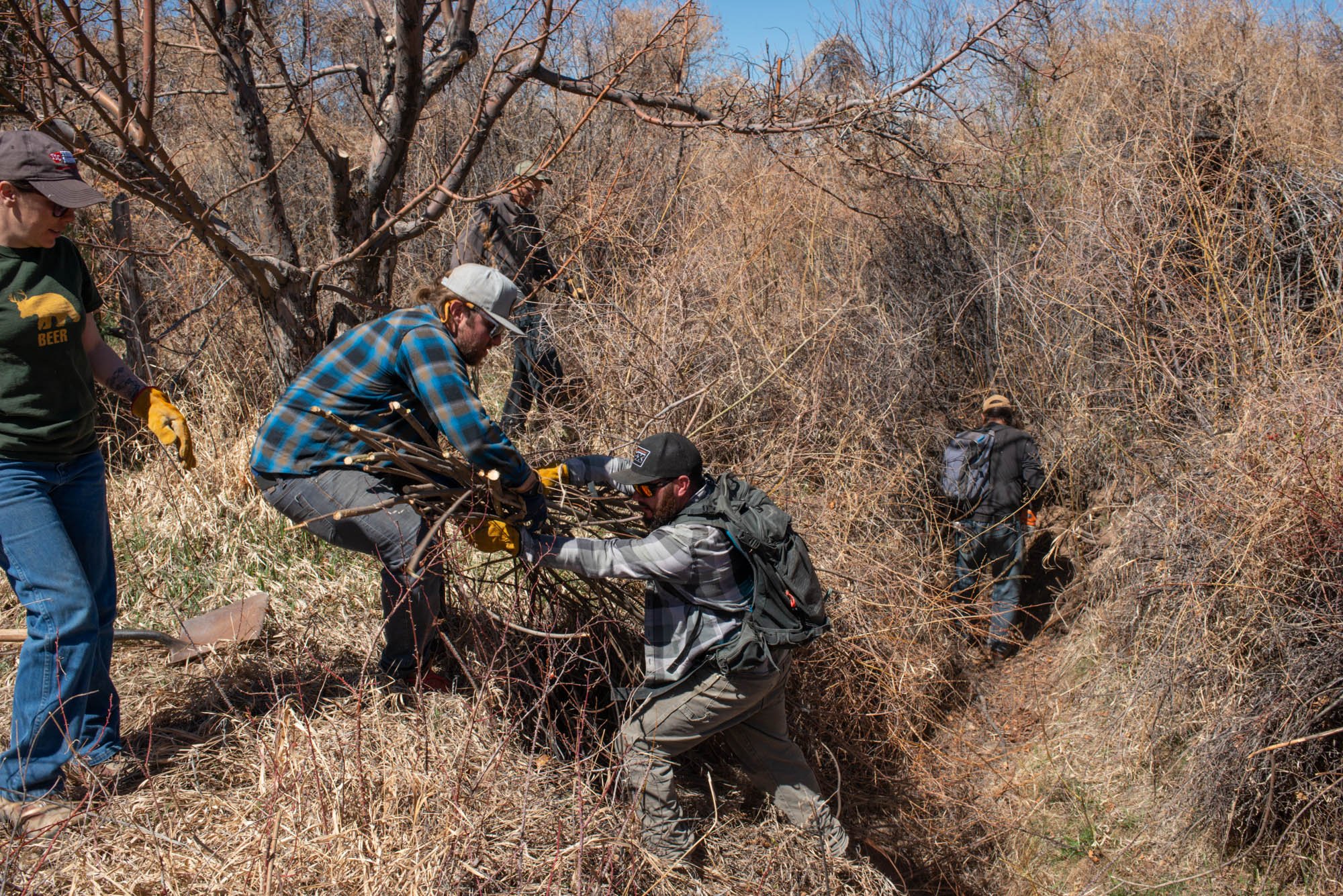  Local members of Rio Lucero y Arroyo Seco Acequia Association haul out willows growing over the Acequia Madre.  