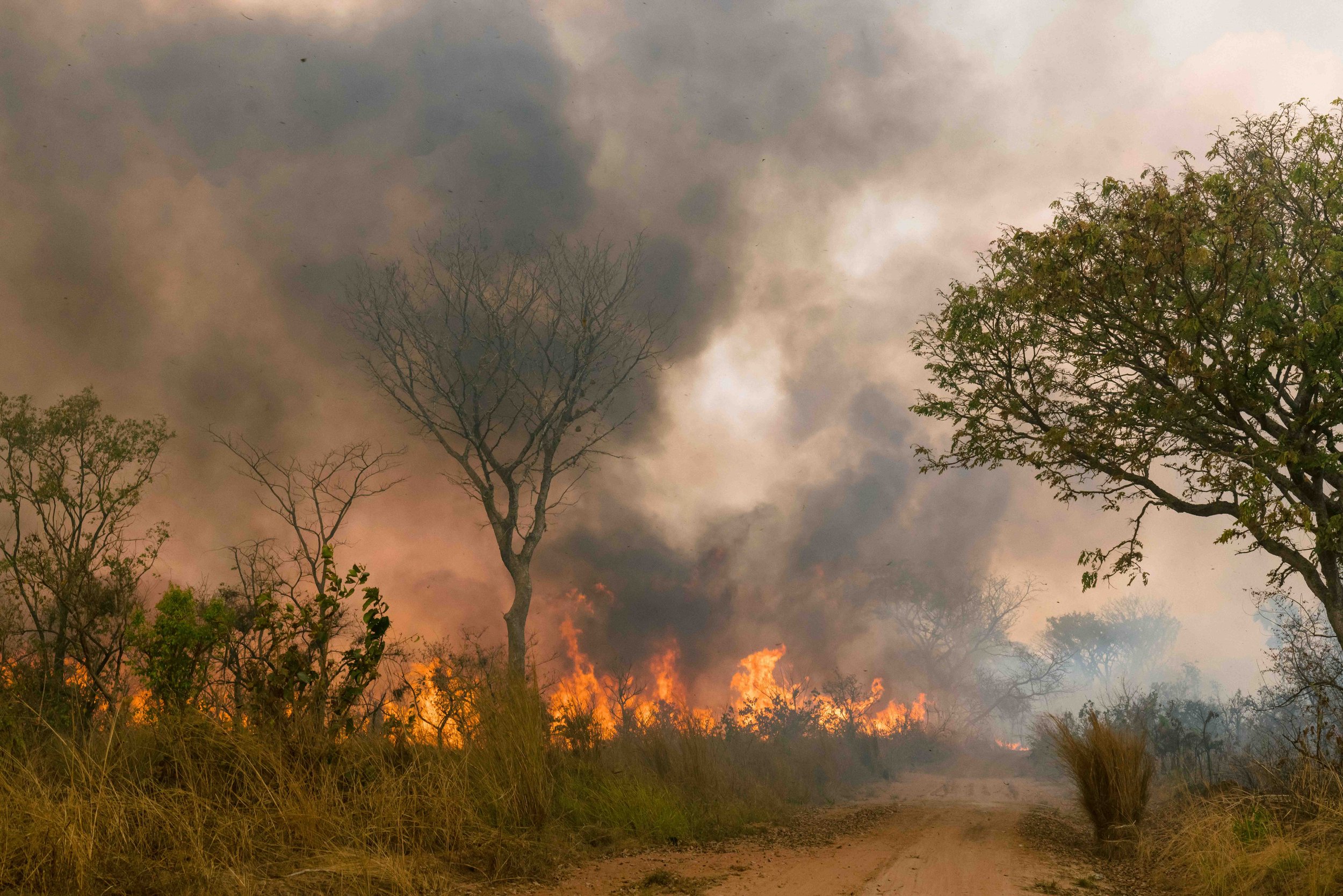  Afram Plains: These fragile ecosystems are at risk from bush burning and selling of charcoal. Bush fires are nothing new but unfortunately with climate change, the bush fires now get out of control and burn longer and hotter than in previous years. 