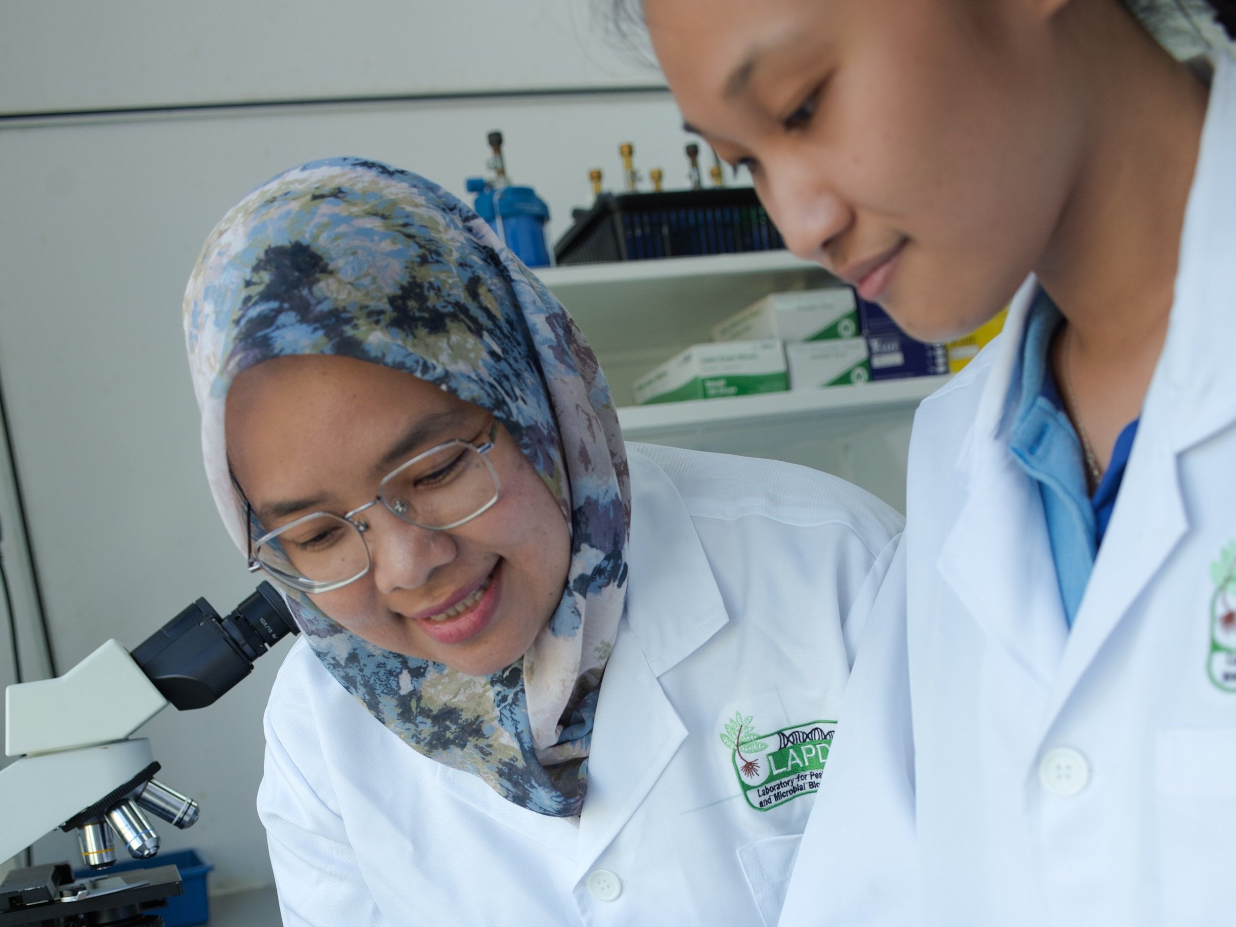 A team led by Dr. Dahlia Sidique (left) is analyzing fungus samples collected from terrapin shells by TCS staff.