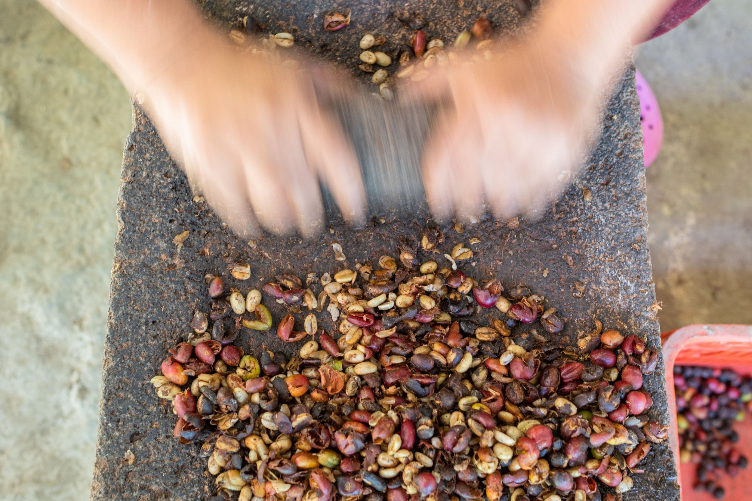 Slow exposure of a woman grinding beans on a stone grinder at her garden in San Marcos.