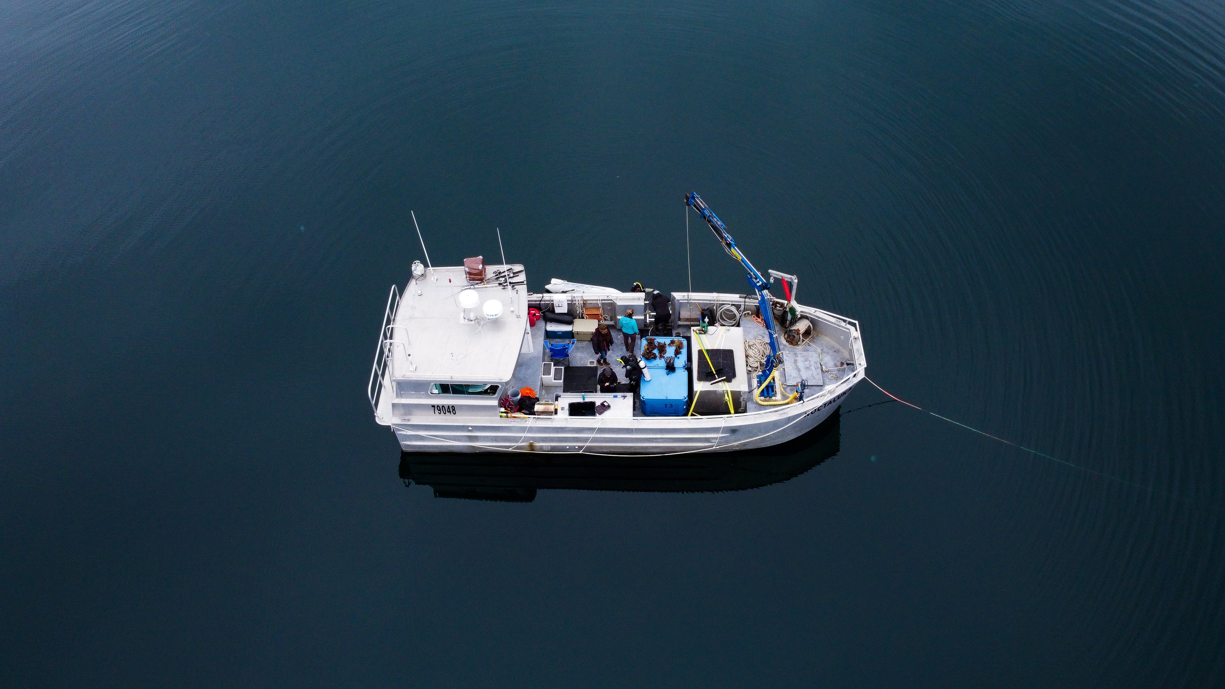 The Native Conservancy team dives for various kelp varieties to propagate off their boat, the Noktaluka, in the Prince William Sound.