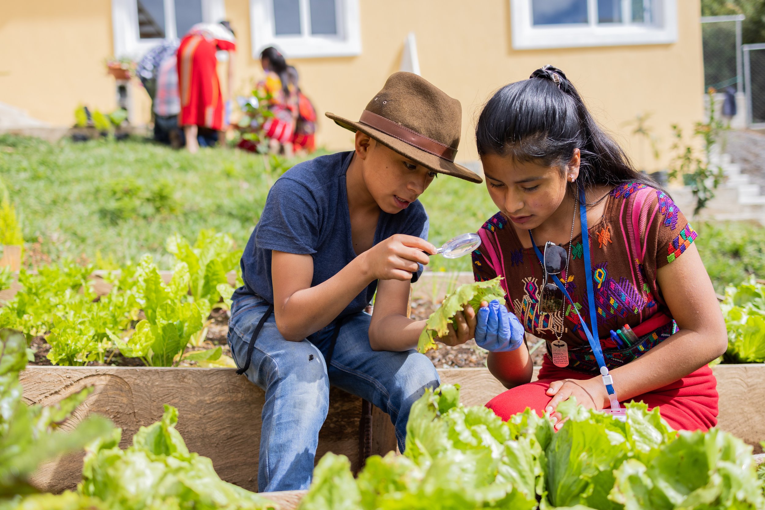 Students try to identify insects in the school garden at Colegio Horizontes during their natural sciences class.