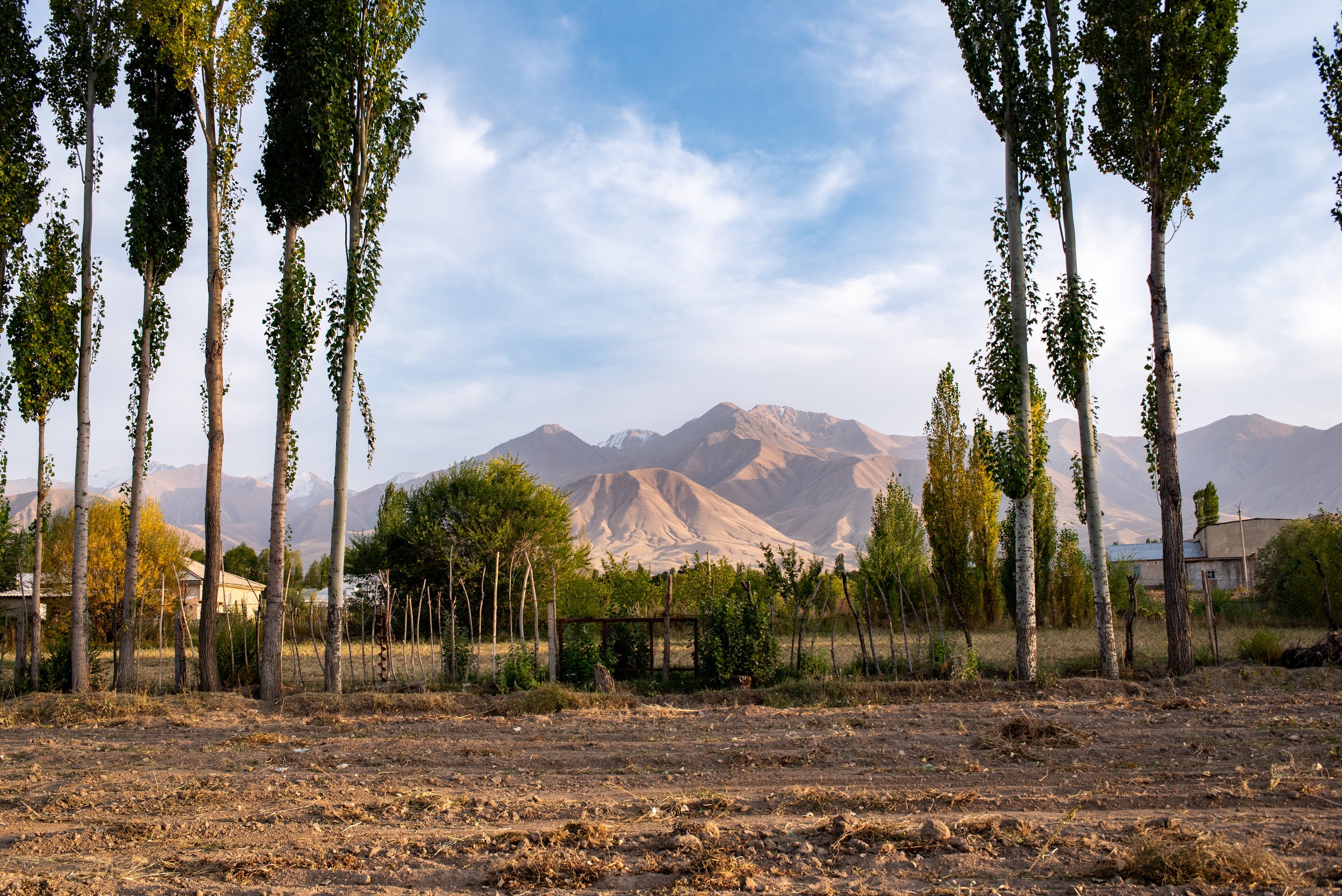 Backyard view in Kochkor, northern Kyrgyzstan.