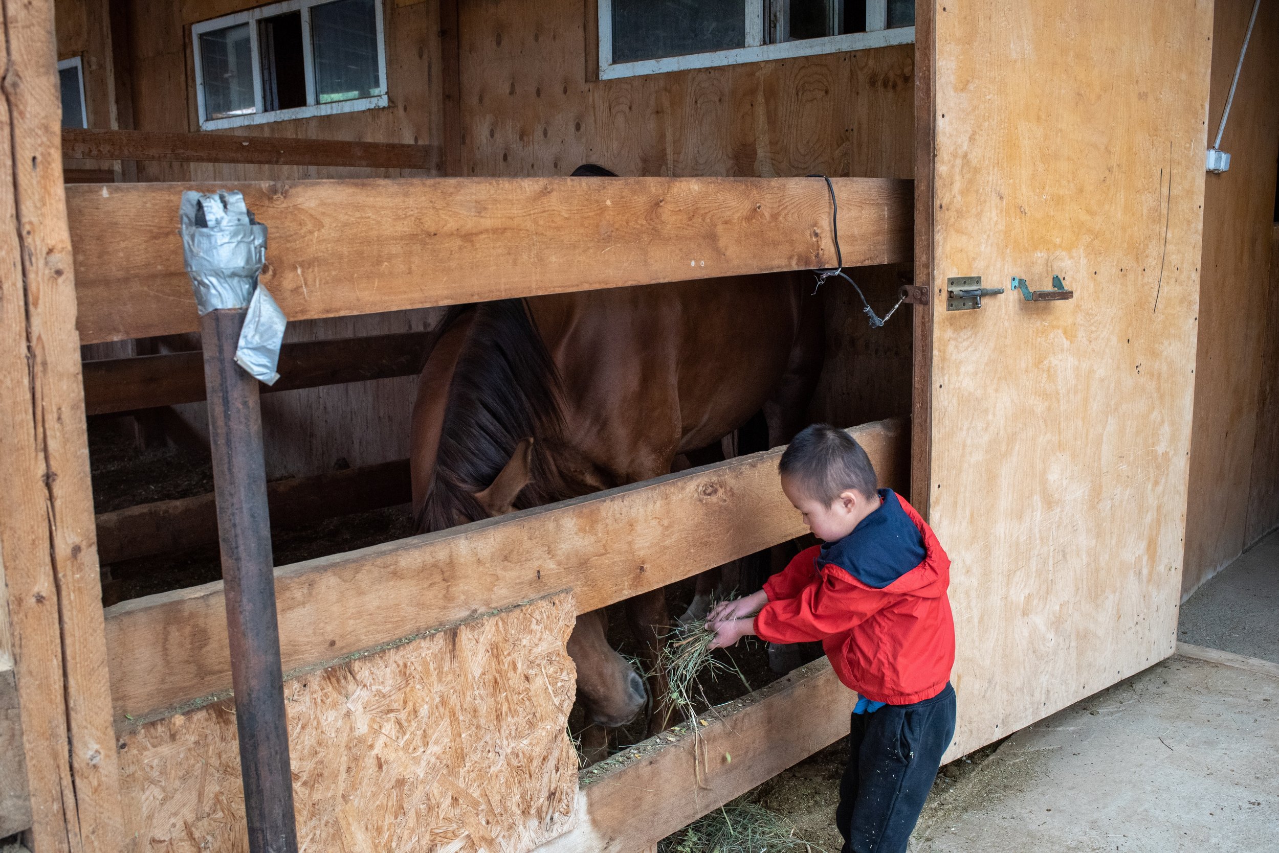 After riding, Eliazar enjoys helping out by feeding the horses.