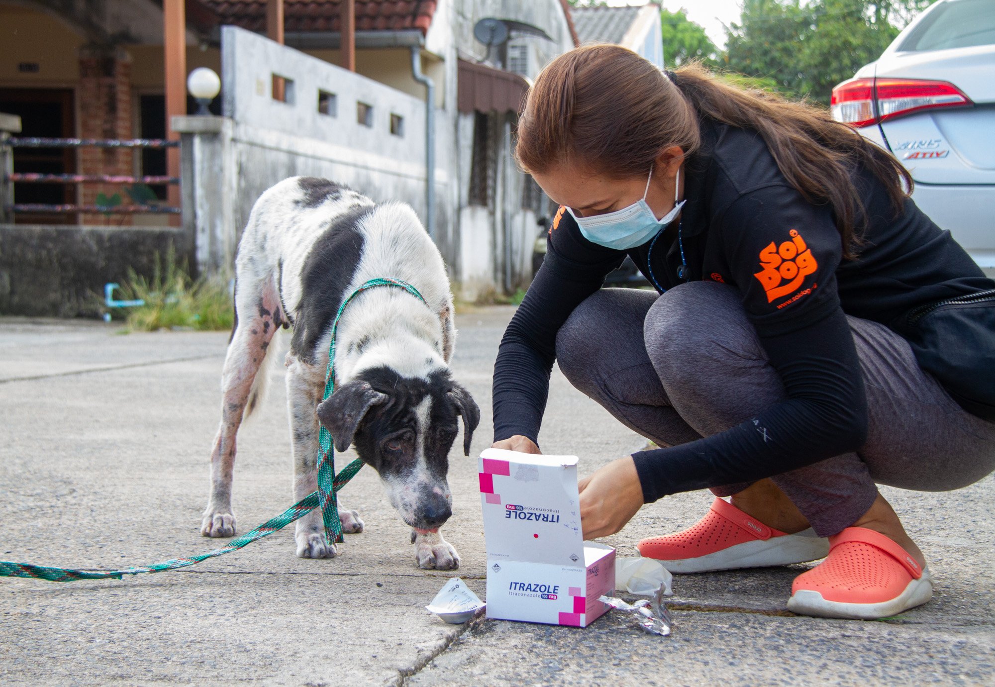 Prathana Krudkrua getting medication ready for a dog that requires treatment.