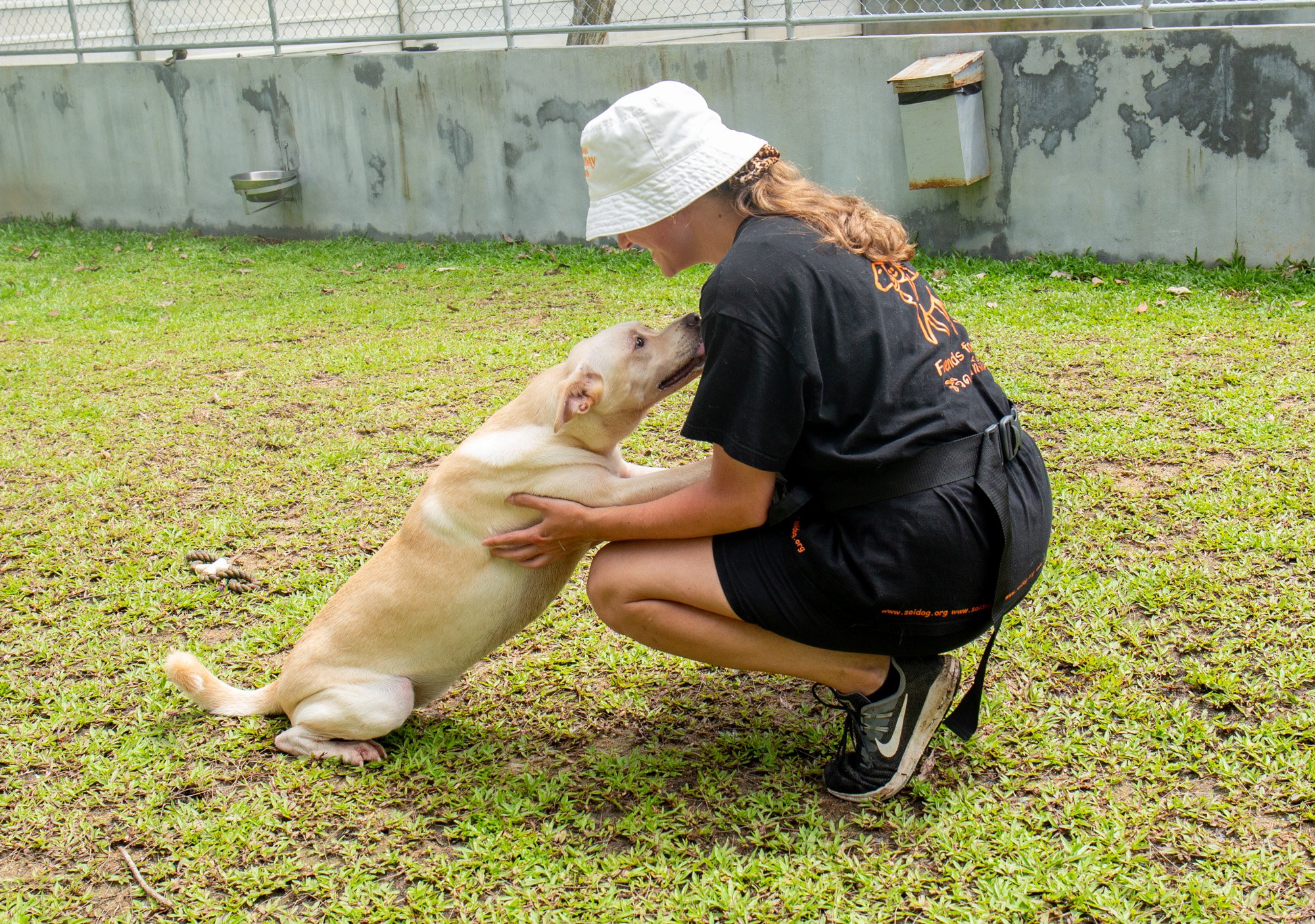 Sasha giving a dog some attention in the play area at Soi Dog.