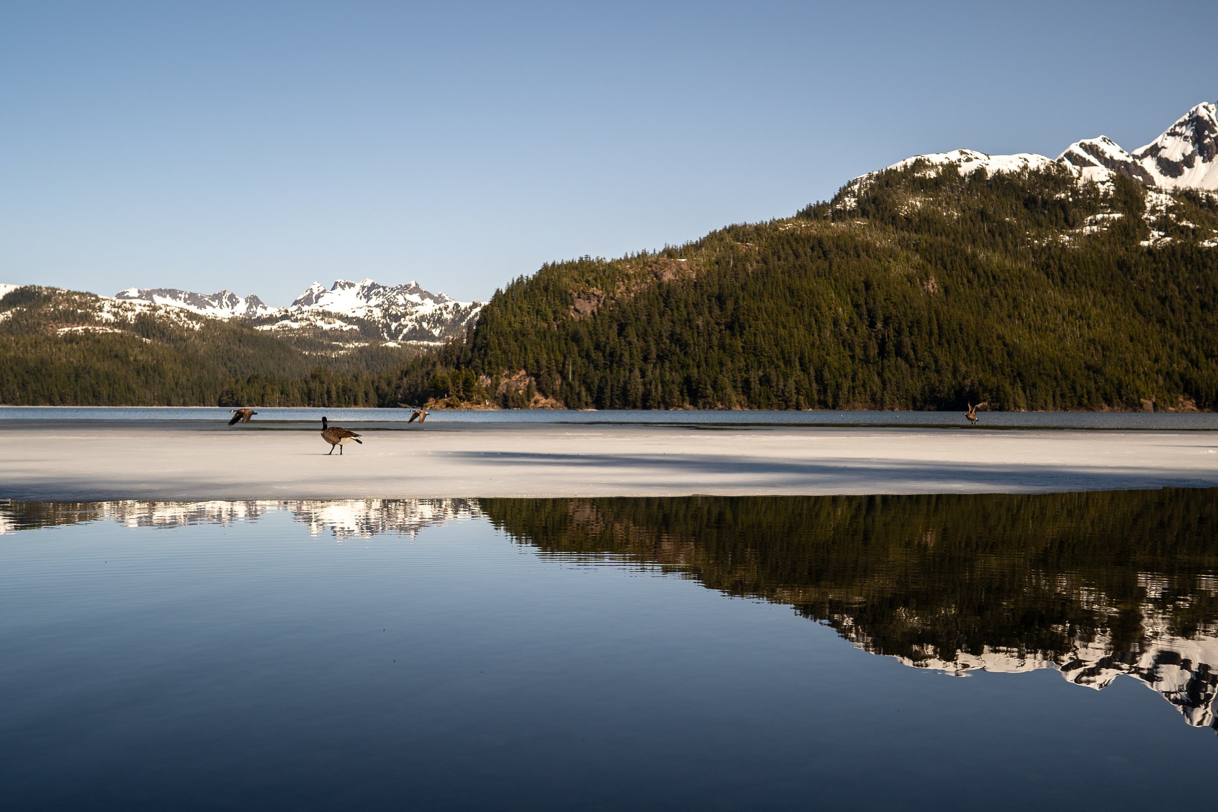 Lake Eyak, as seen in April 2021.