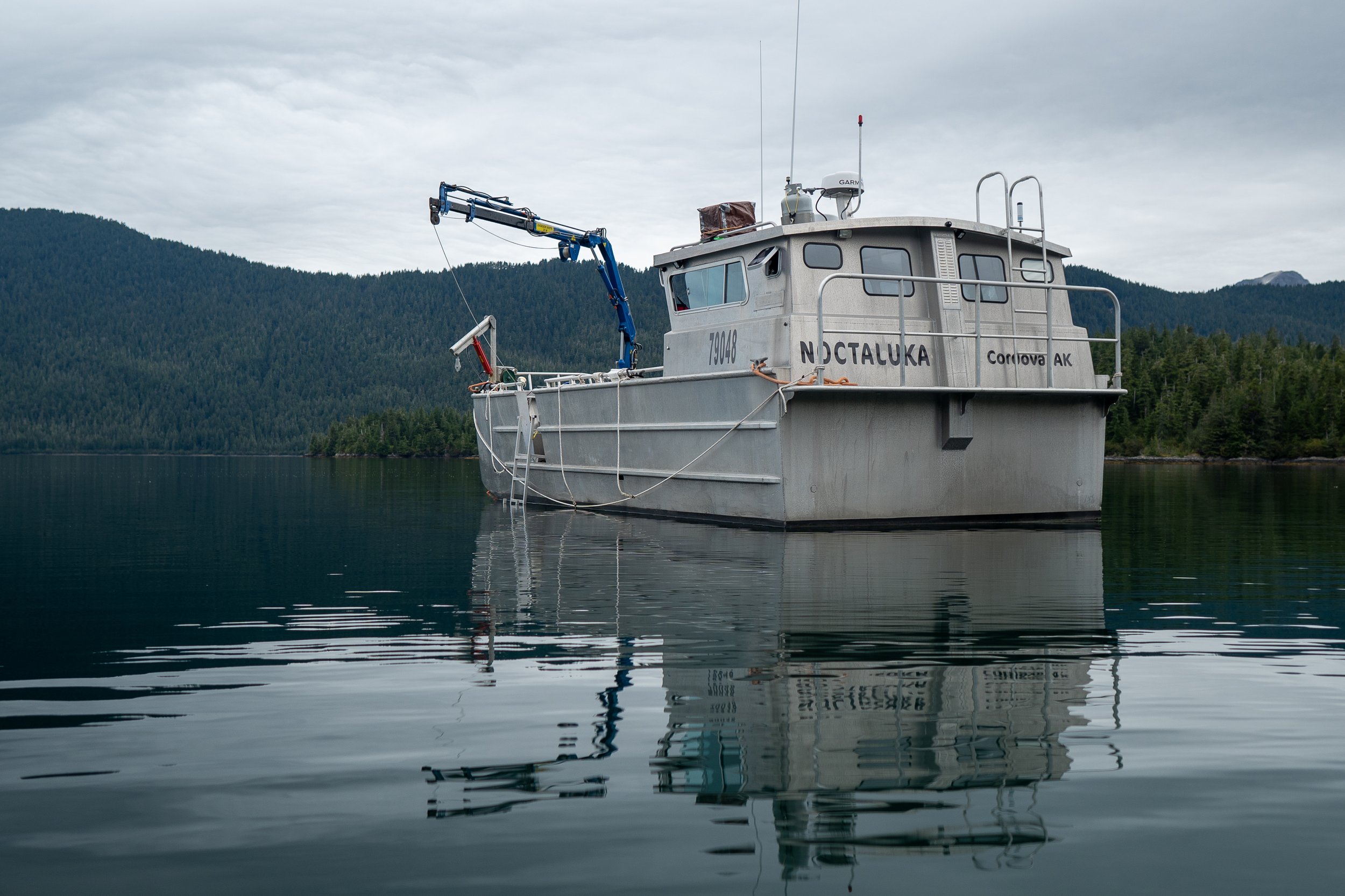 Native Conservancy's team dives for different kelp varieties to propagate off their boat, the Noctaluka, in Prince William Sound.