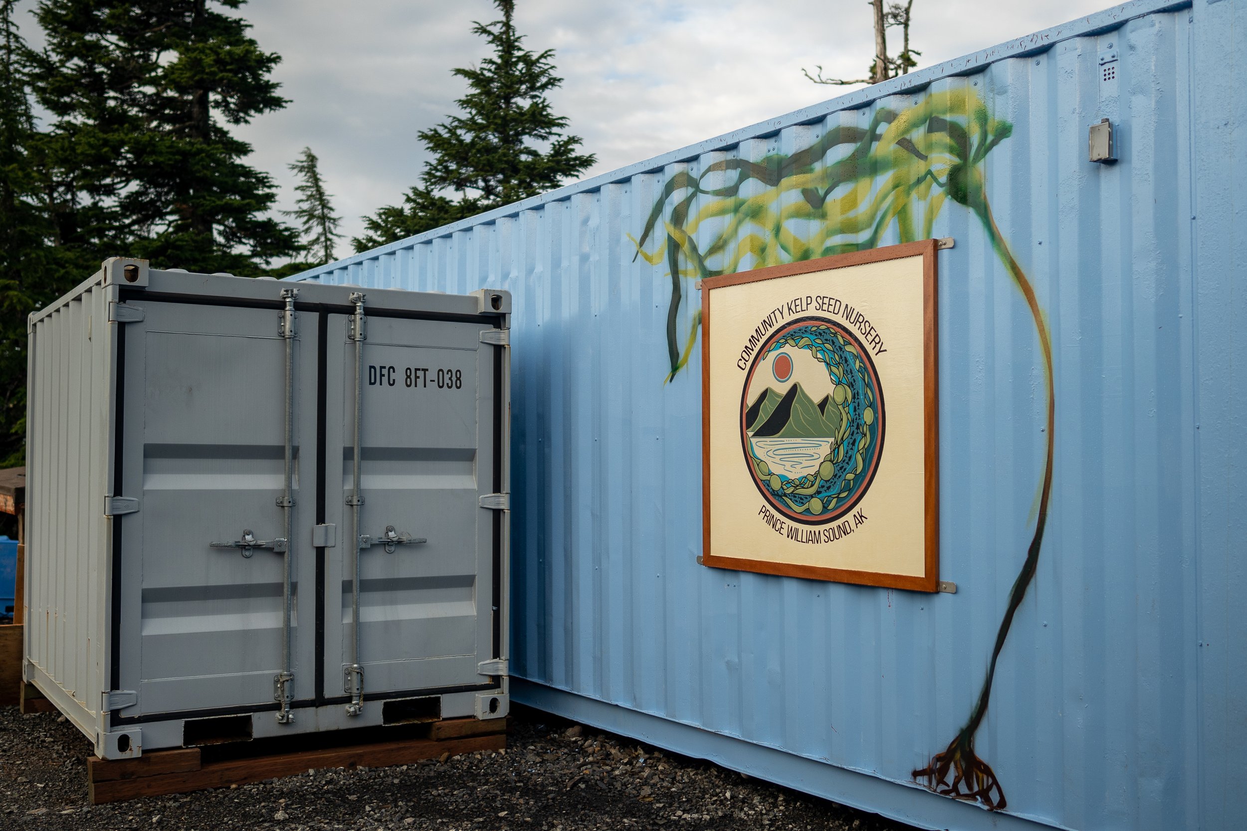 Native Conservancy's Community Kelp Seed Nursery in Alaska.