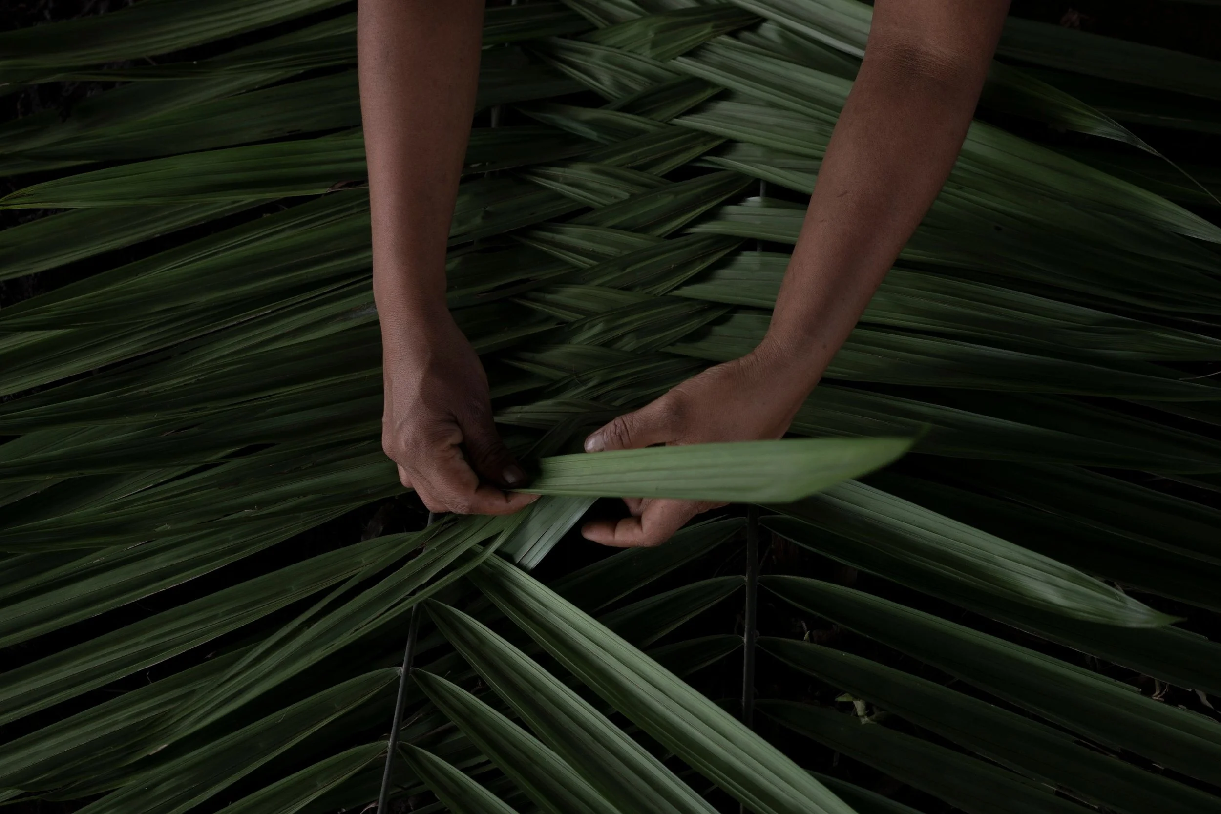 (Re)Weaving The Connection to Nature, Spirits and Dreams