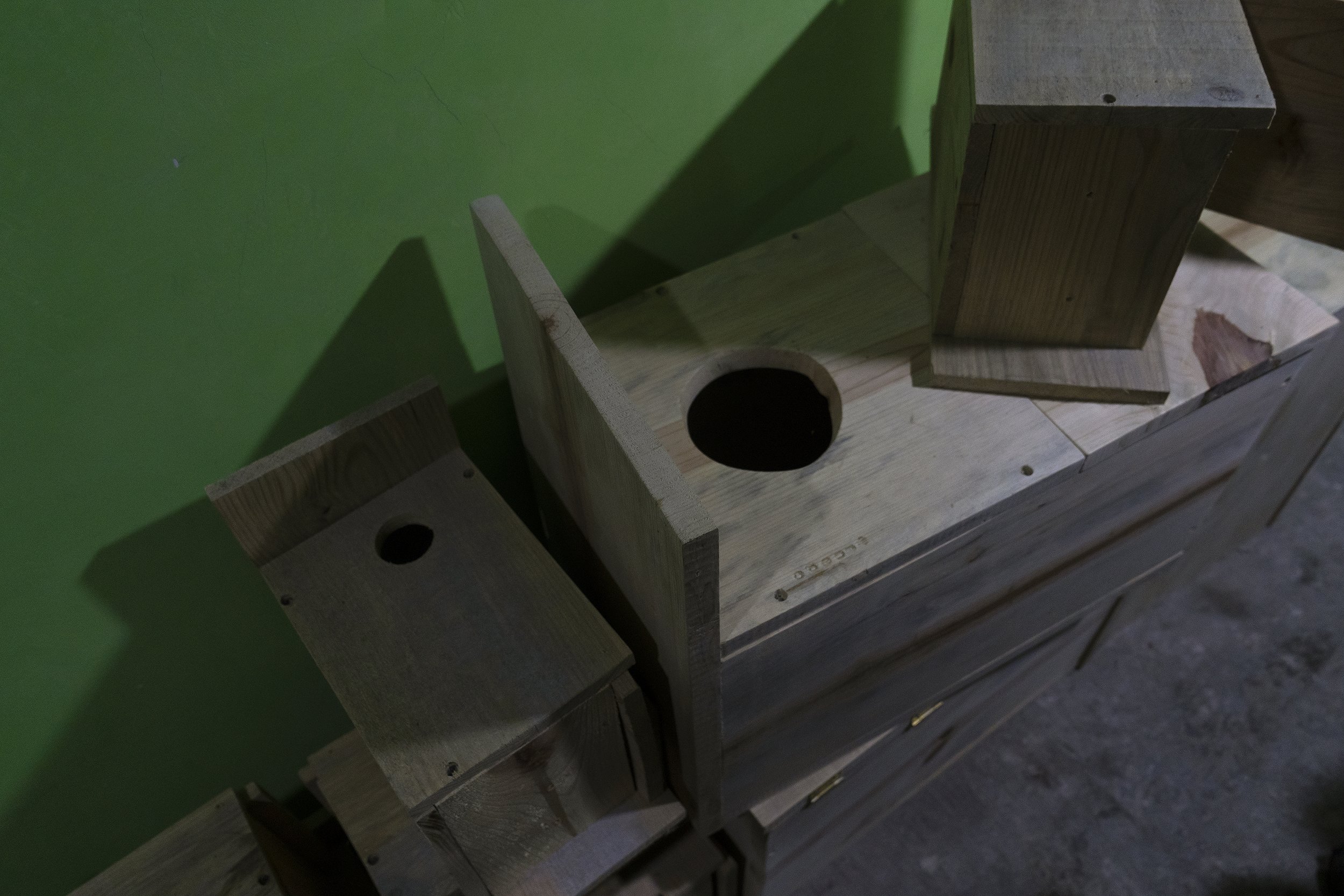 Box nests built by biologists Diana and Alberto to aid in the survival of Xalapa’s birds of prey. Tamara Blazquez Haik.