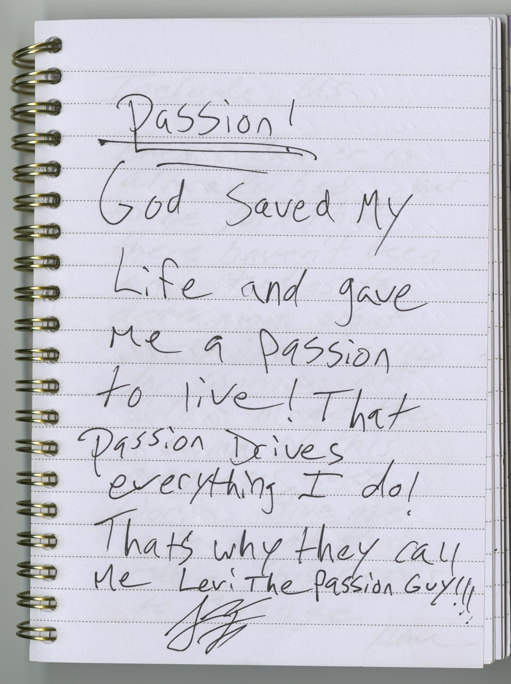 Levi Ferguson's handwritten journal entry.