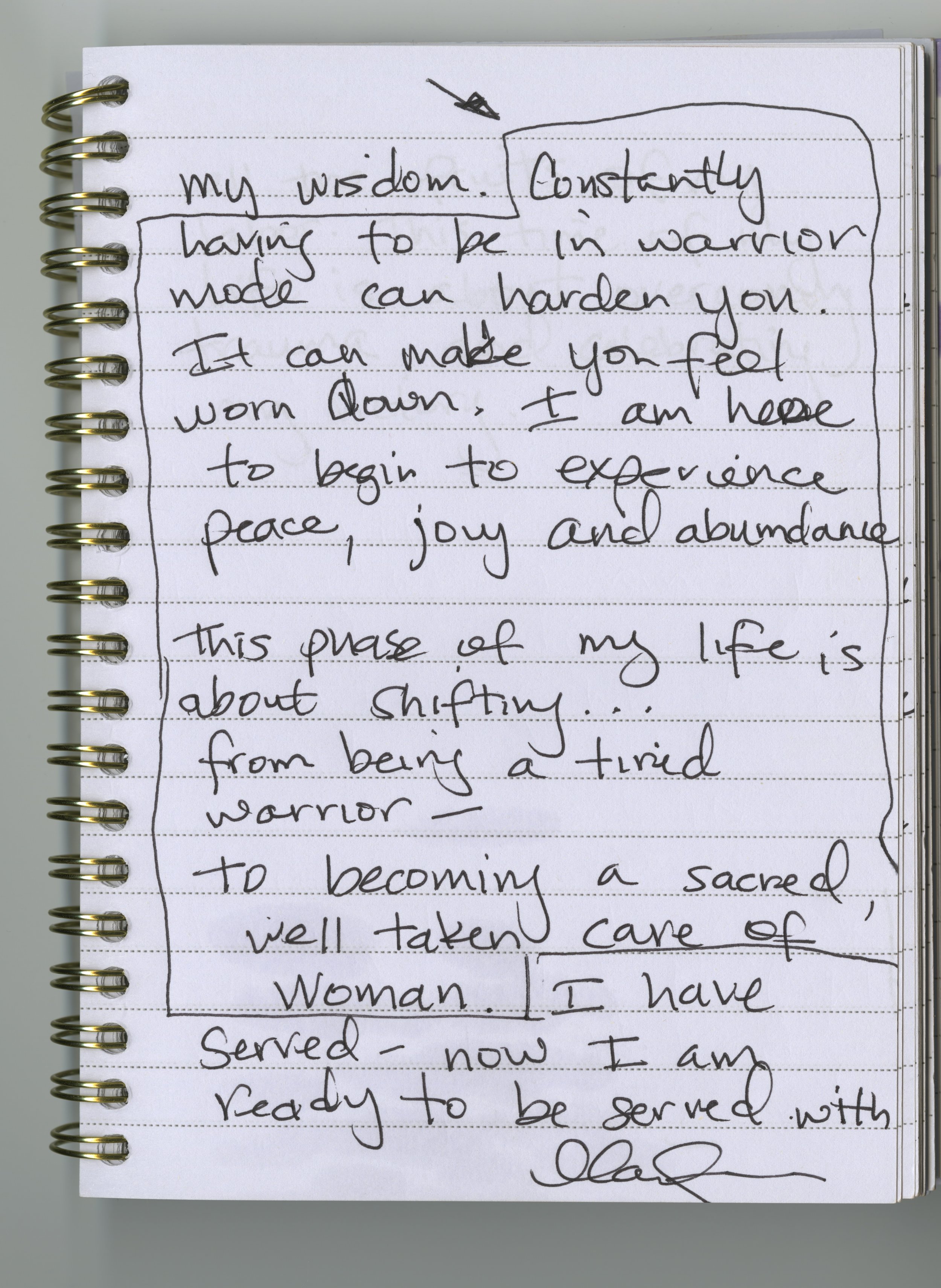 Marianna Sousa's handwritten journal entry.
