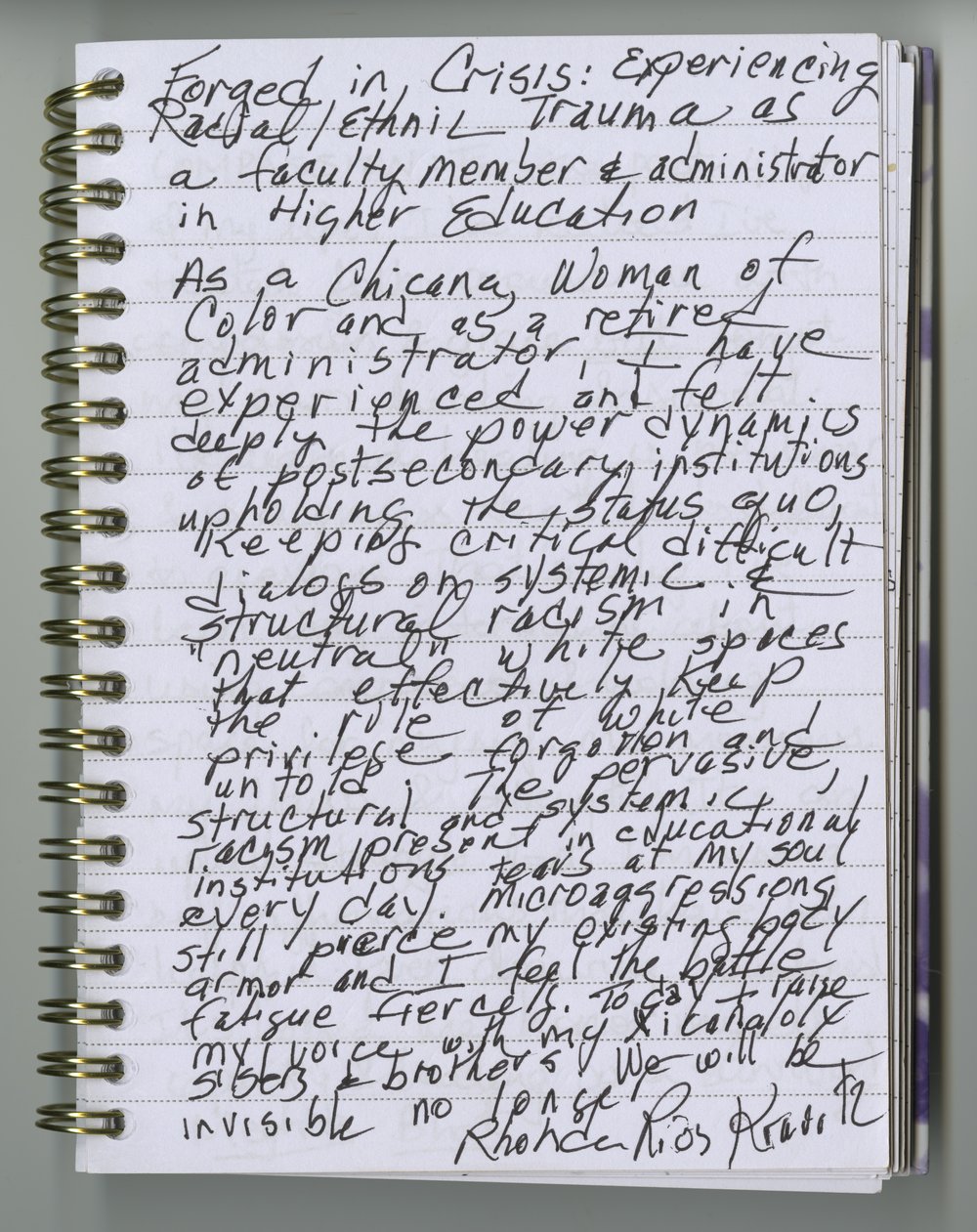 Rhonda Rios Kravitz's handwritten journal entry.