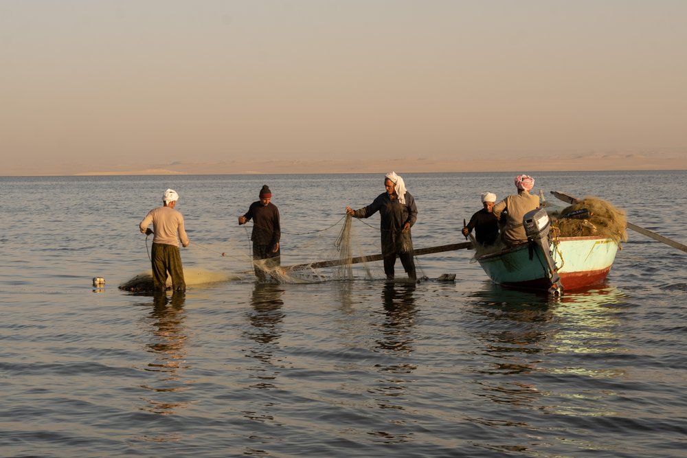 Egyptian fishermen collect nets from Lake Qarun in the early morning. Fayoum, Egypt.