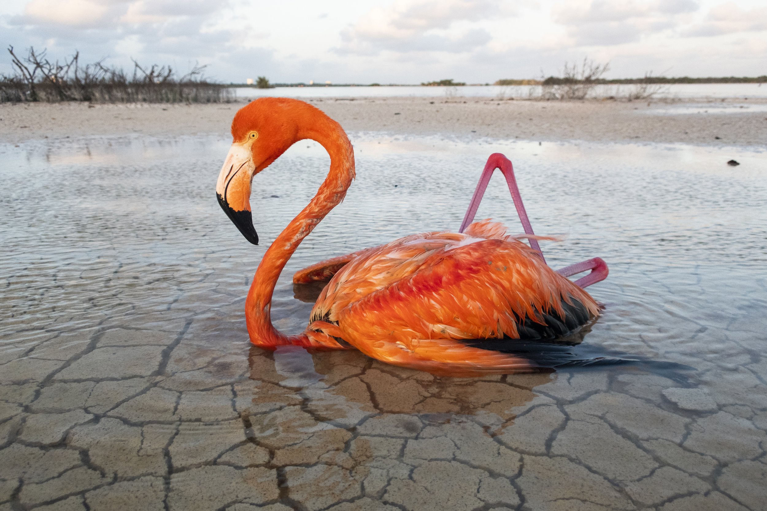 The Vanishing Wetlands of the Yucatán Peninsula