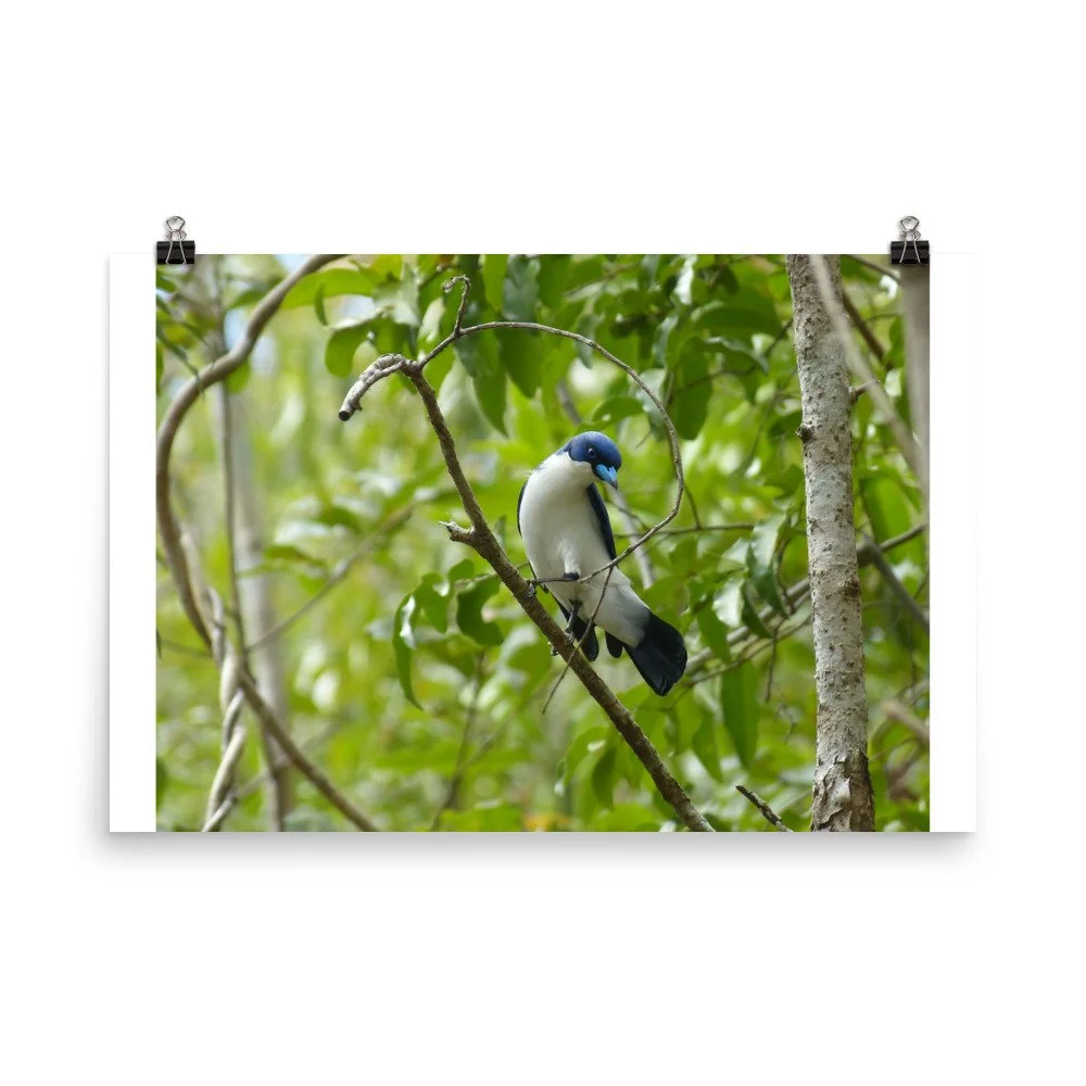 enhanced-matte-paper-poster-(in)-24x36-transparent-672aa5face667.jpg