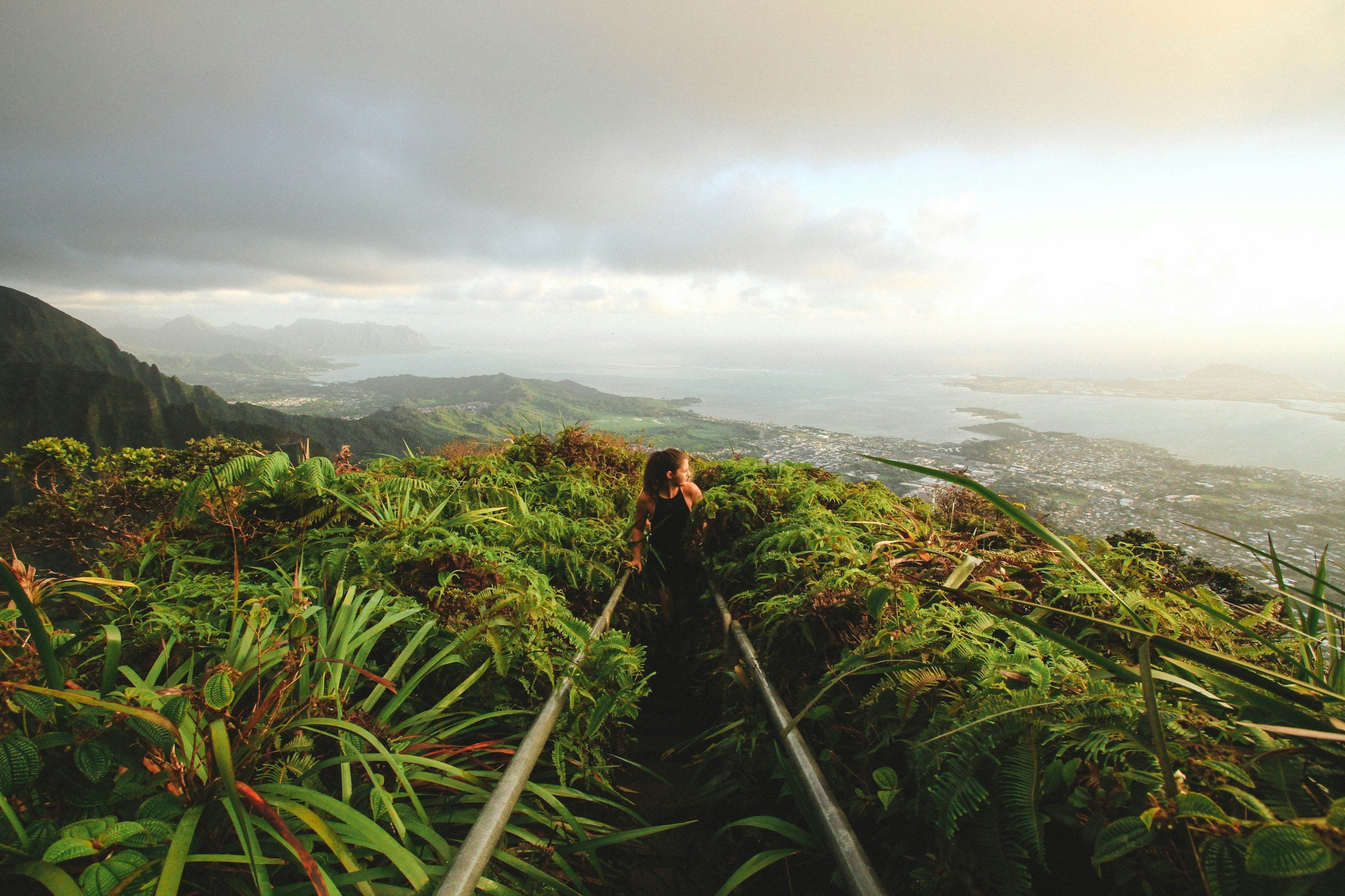 unsplash-image-B6gaRFdbnp8.jpg