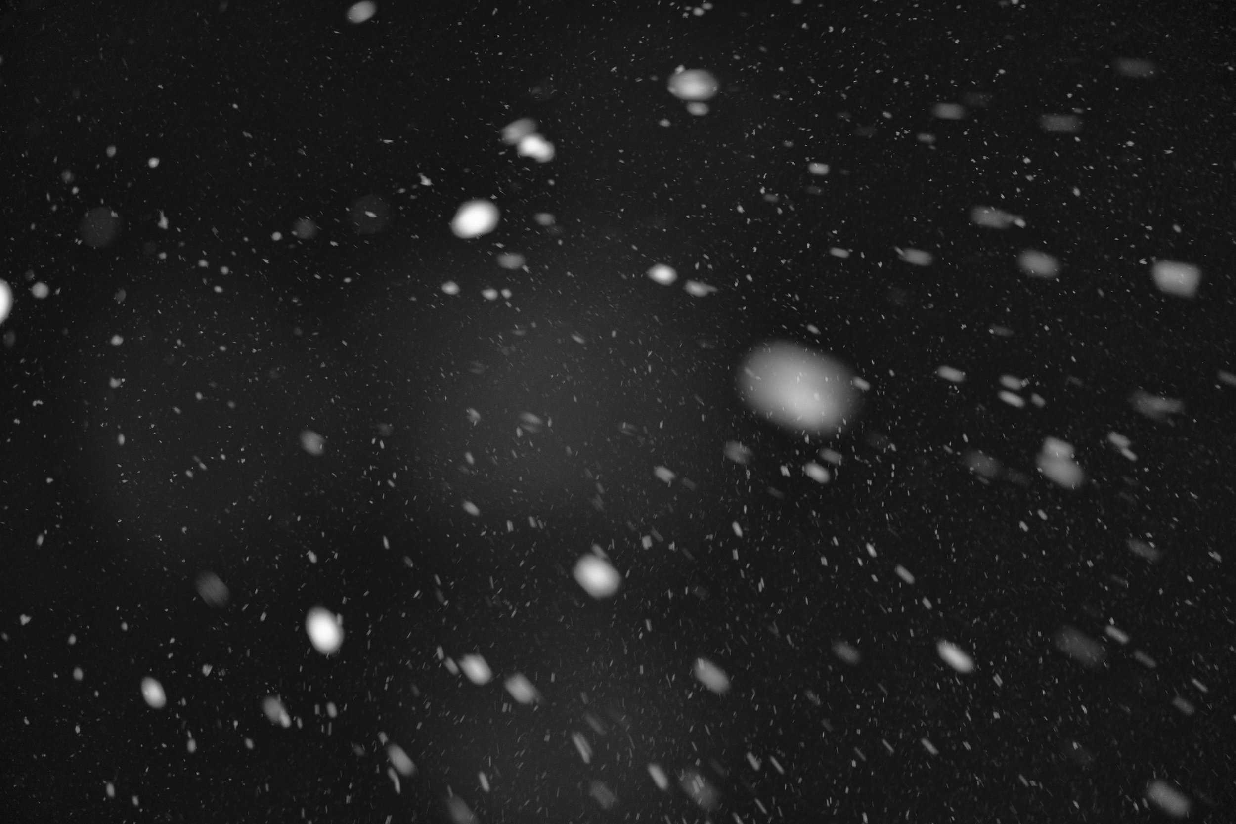 01- Ebrahimalipoor -  Bullets have no borders10.JPG