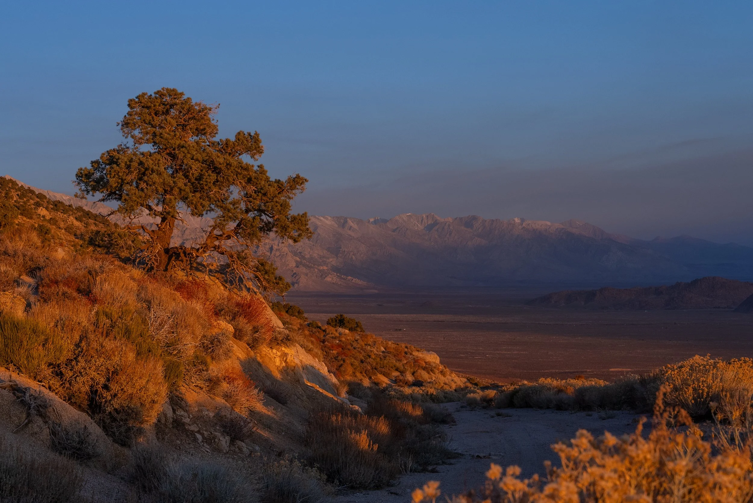 Sacred Land Under Threat - Protecting Conglomerate Mesa