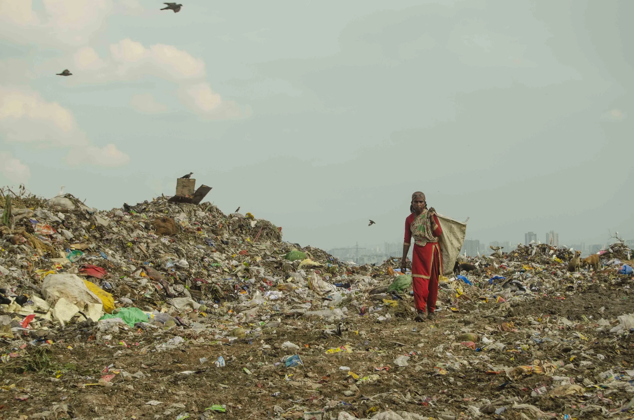 FRAMES FROM THE GHAZIPUR DUMPING YARD