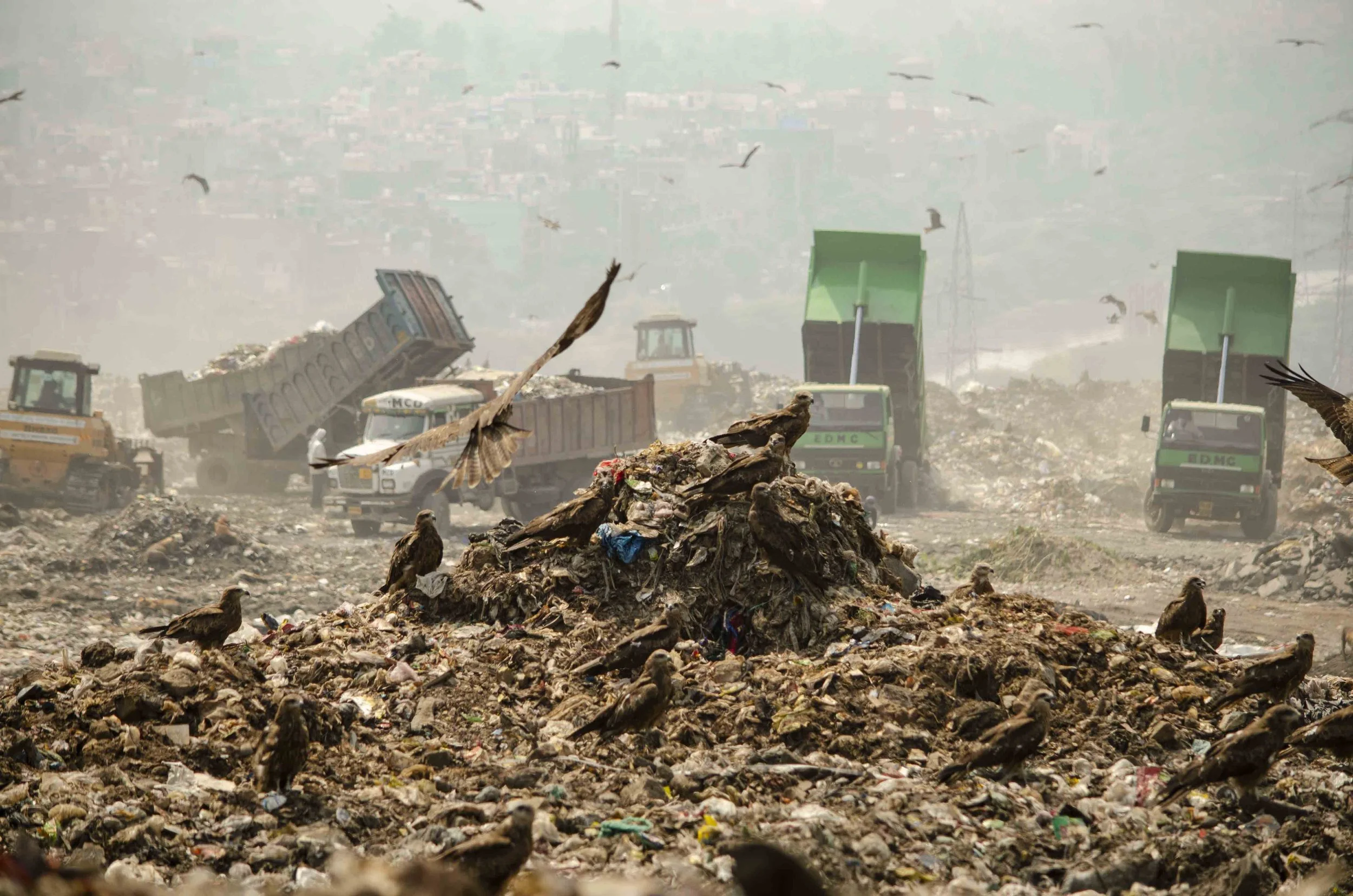 03_Abhishek_Ghazipur Dumping Yard.jpg