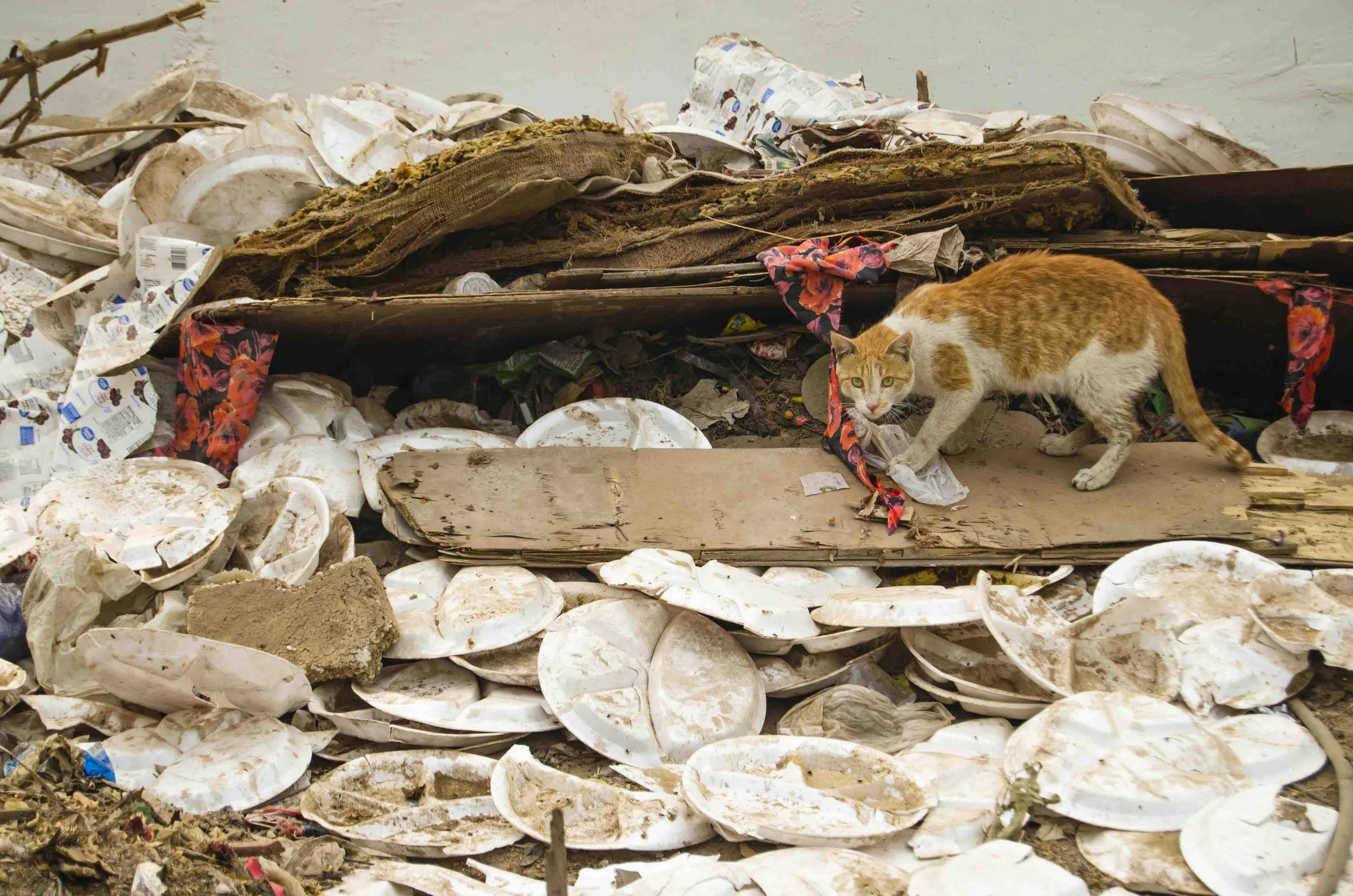 17_Abhishek_Ghazipur Dumping Yard.jpg