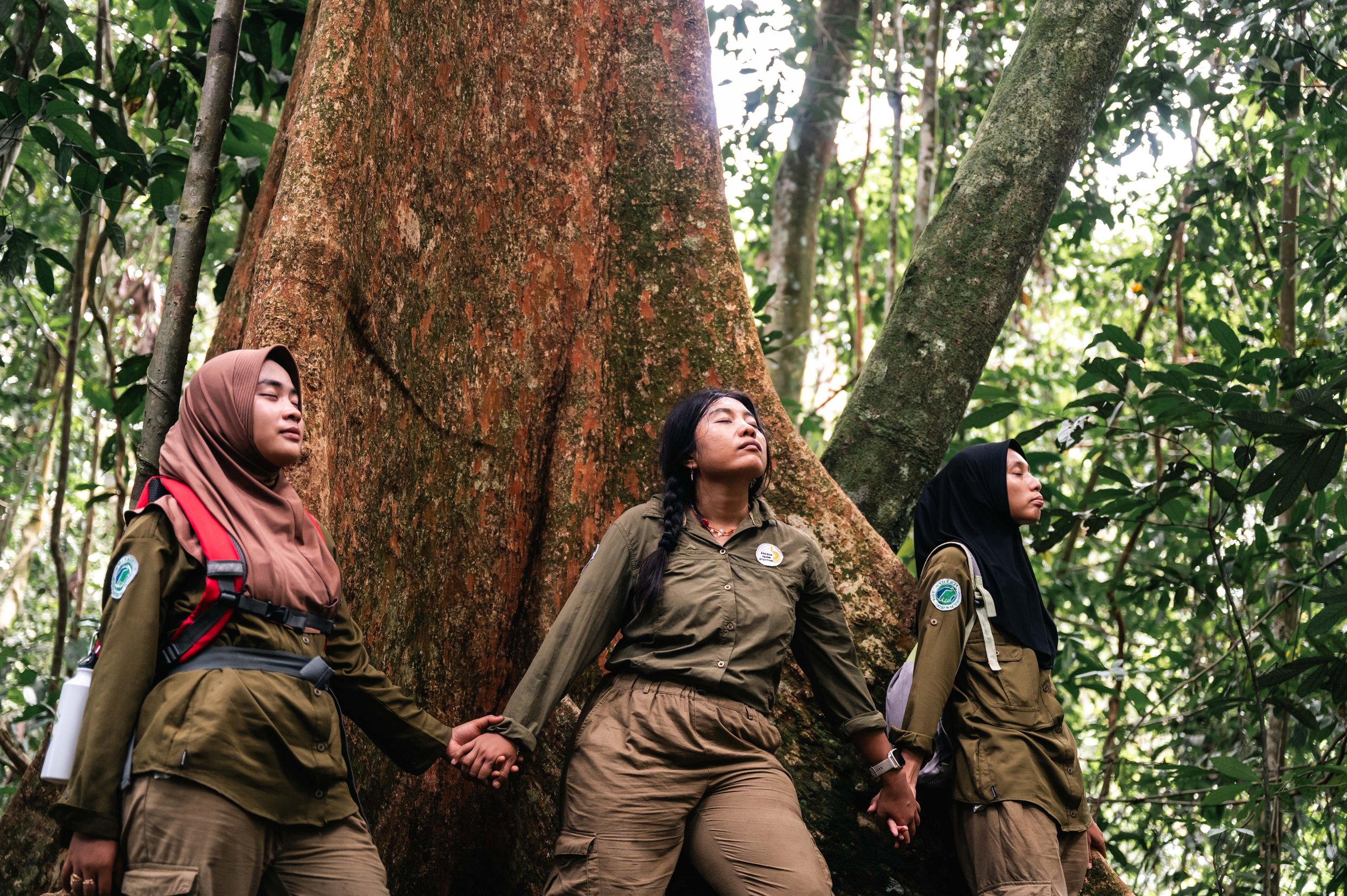 FOREST FUTURISMS