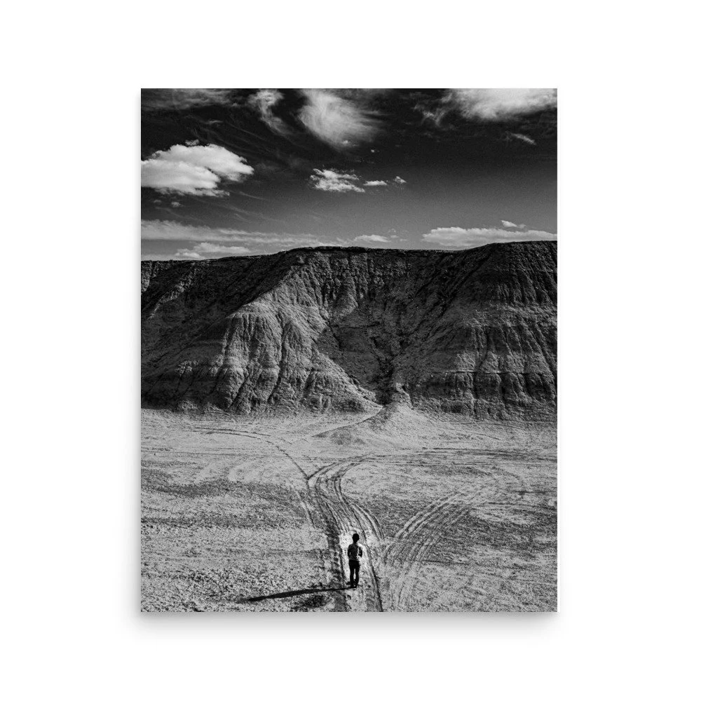 enhanced-matte-paper-poster-(in)-16x20-front-6ac96c1344251.jpg