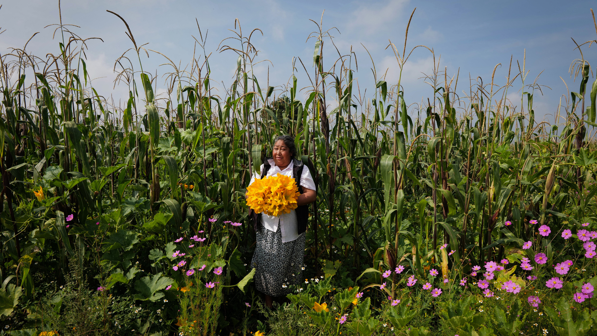 WEBPAGE RESOURCES.png