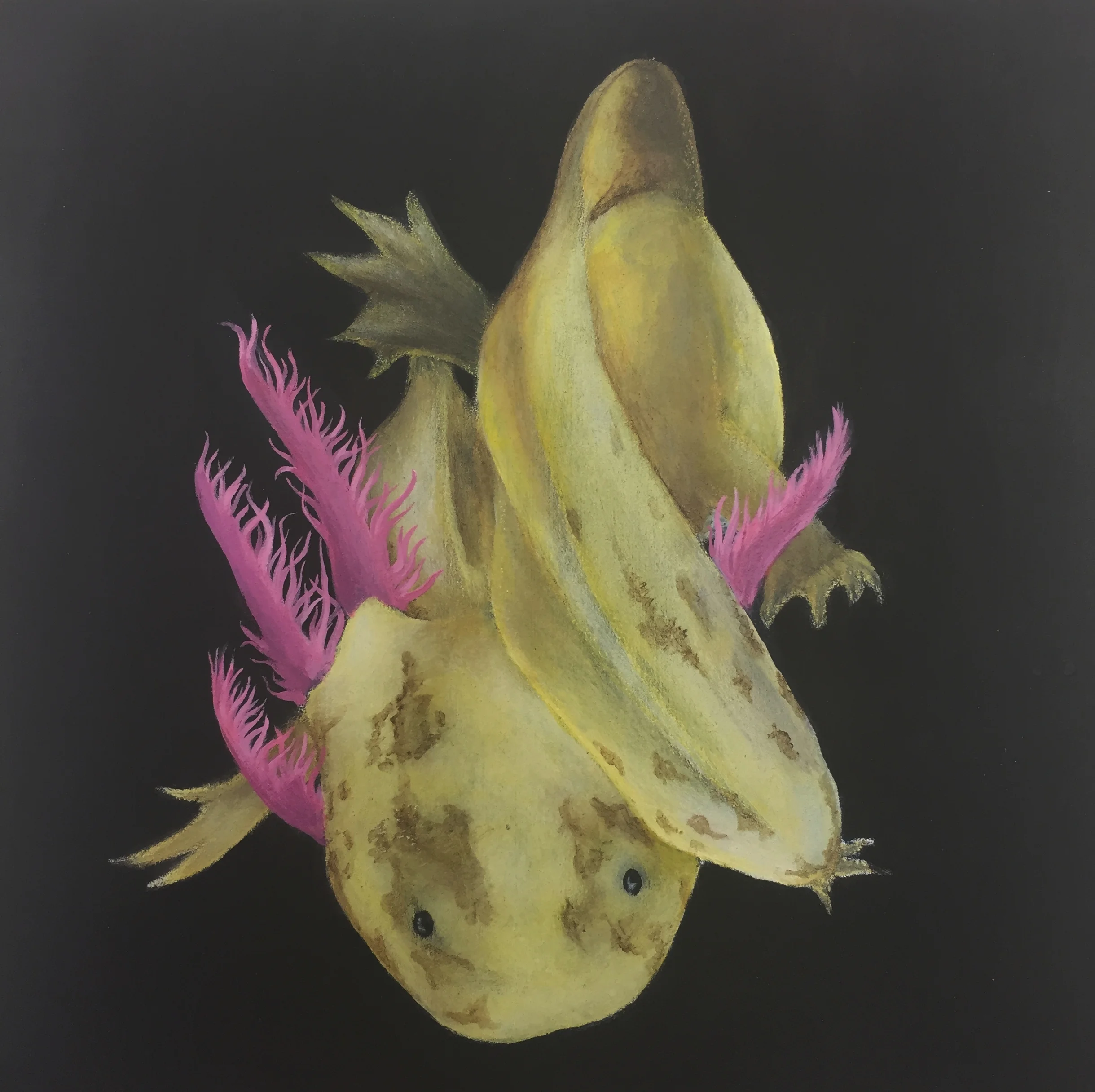   Axolotl 4 , 2016, acrylic on panel, 6x6  [SOLD] 