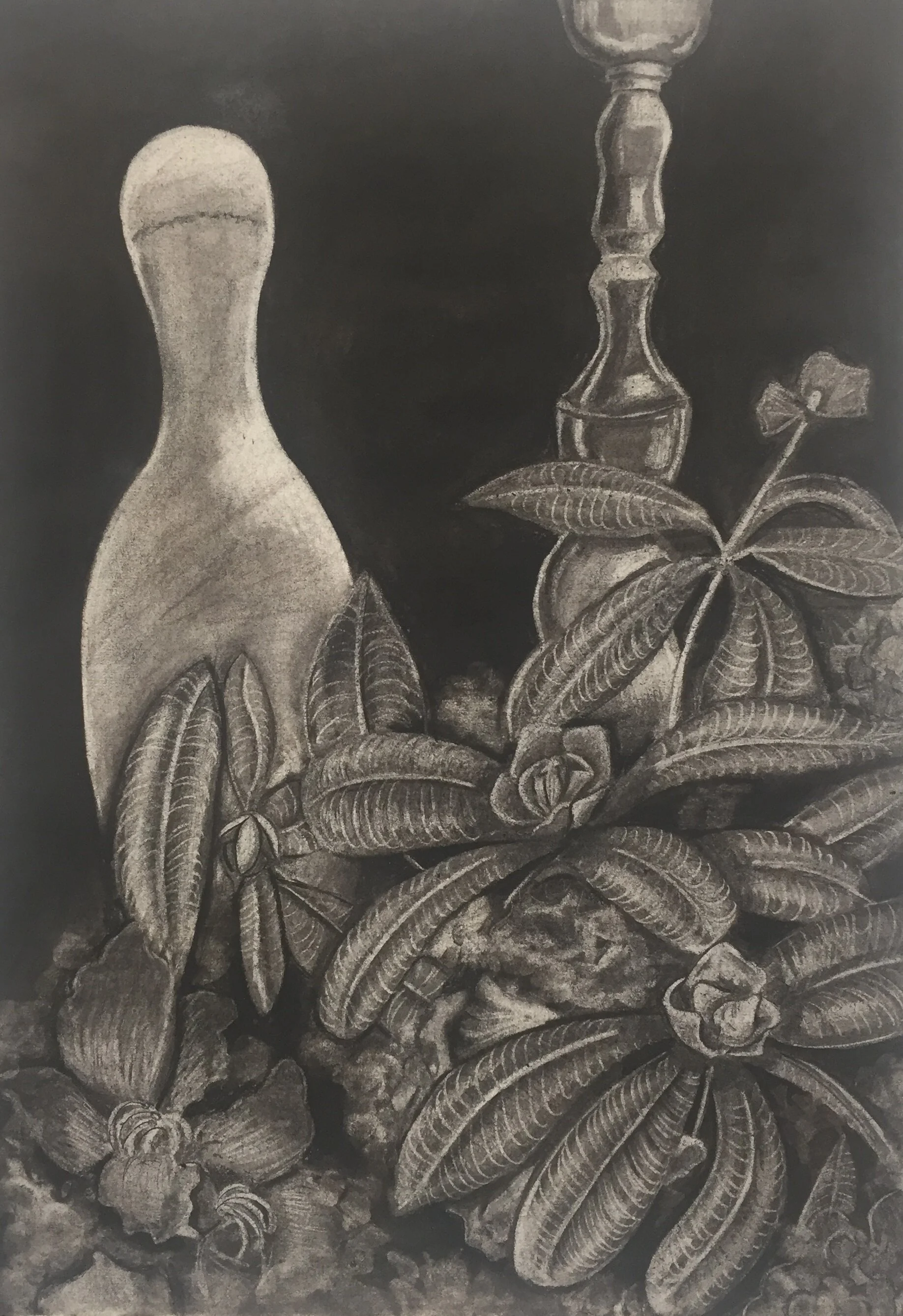CharcoalDrawing_Castelan (5).JPG