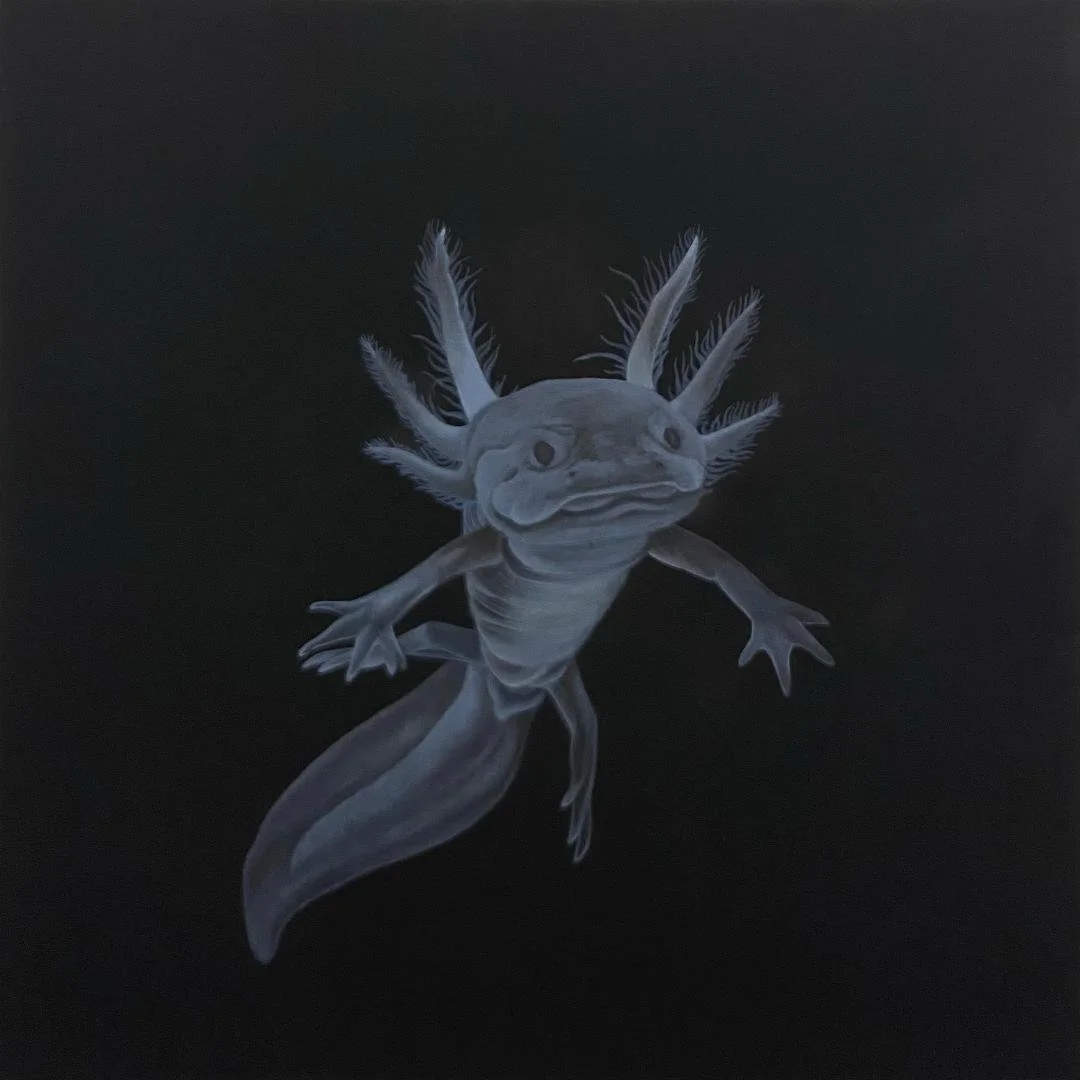   Axolotl (Study) , 2022, acrylic on panel, 20x20” [SOLD] 