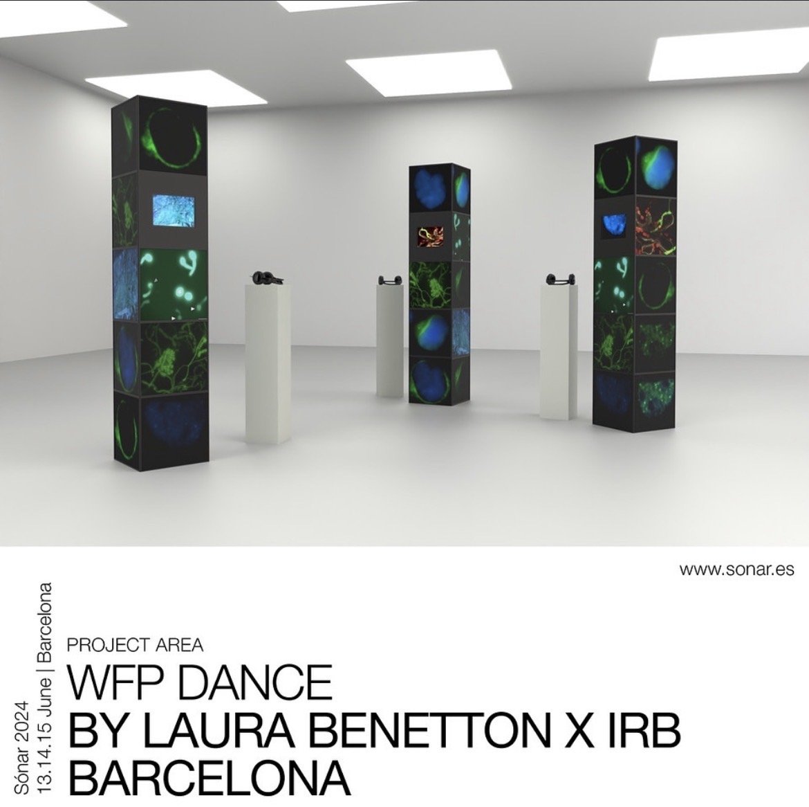 SONAR 2024"WPF DANCE"