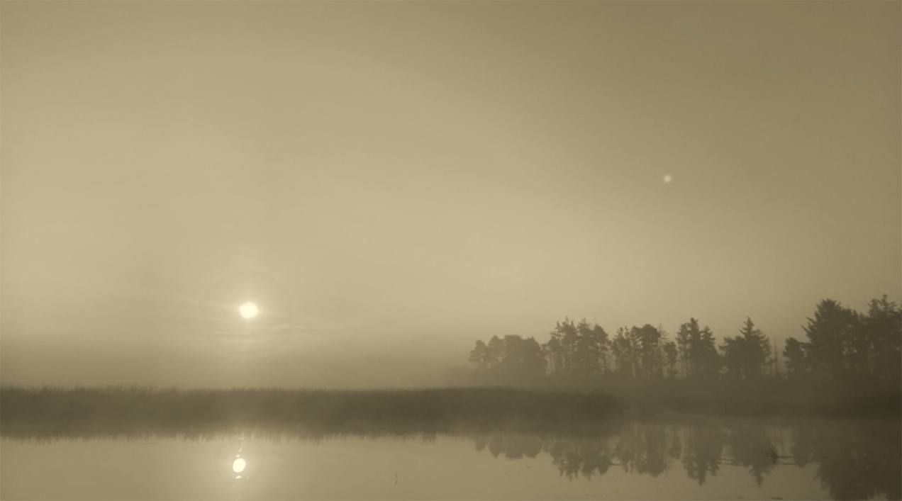 Skærmbillede 2022-02-18 kl. 10.29.11.png