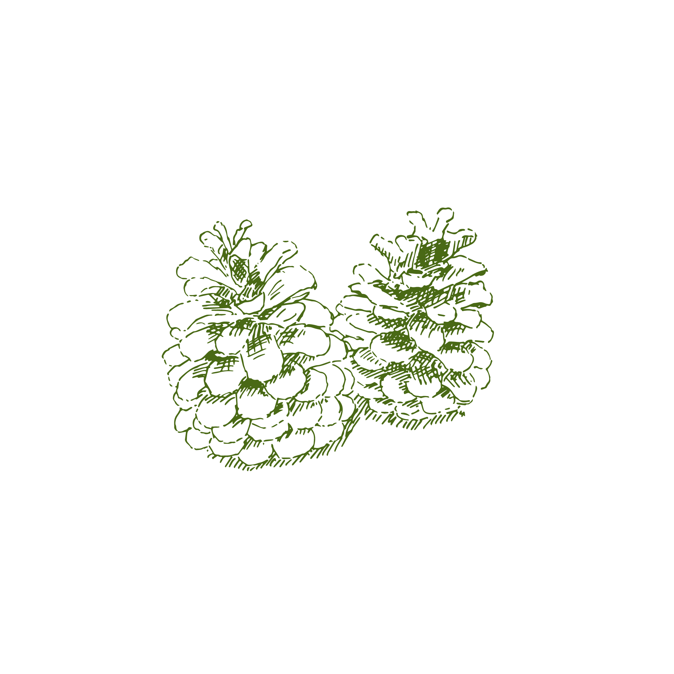 pine cones_Moss.png