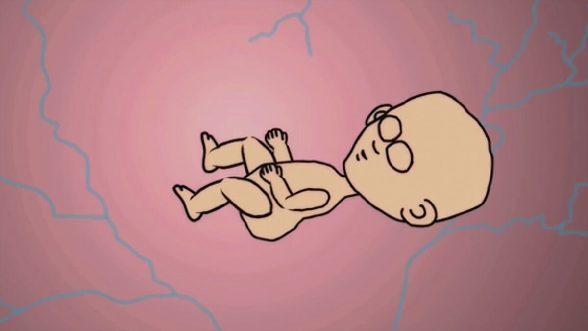 Animations from The Second Wave.