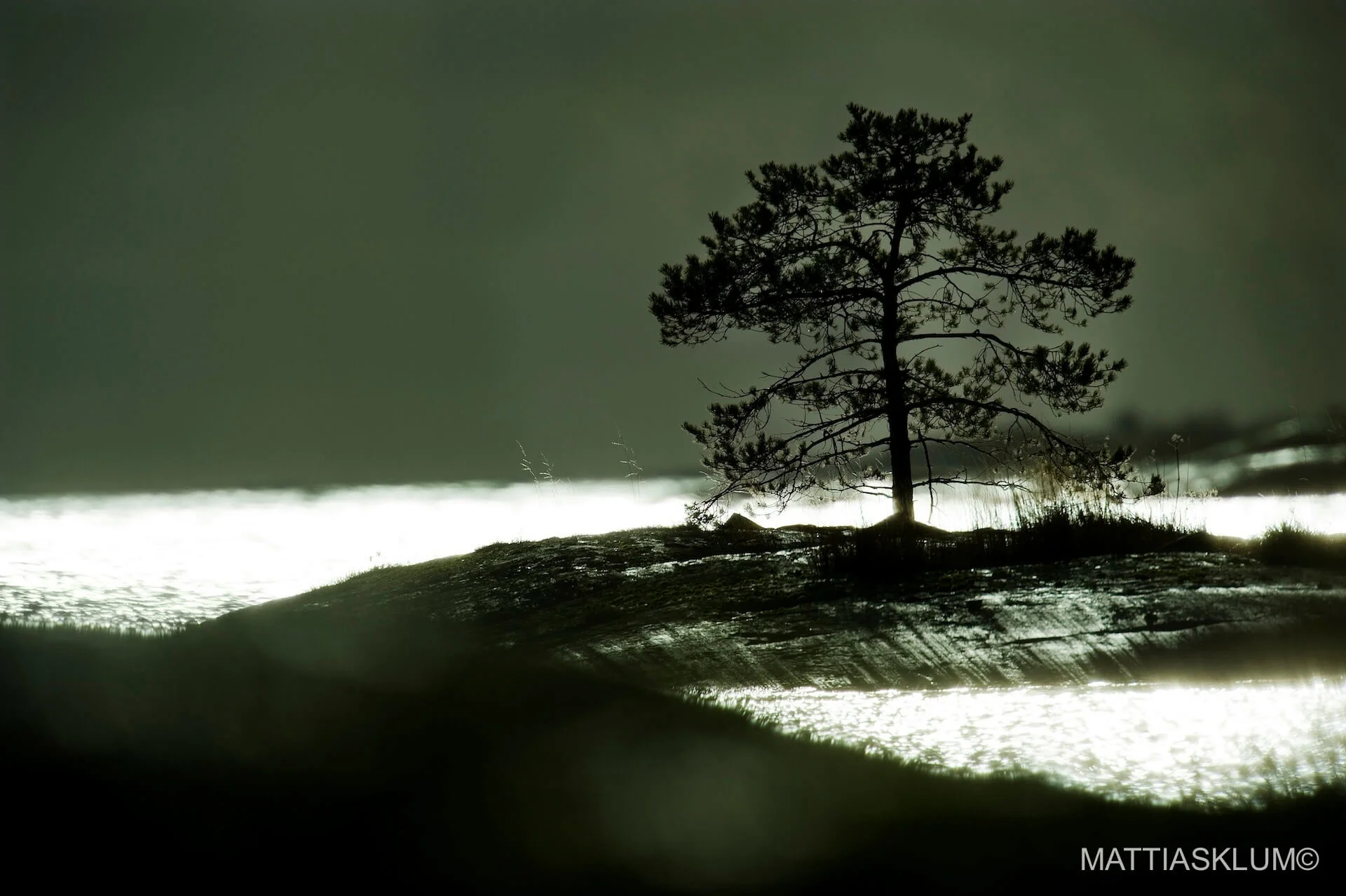 2012 – The Contemplator