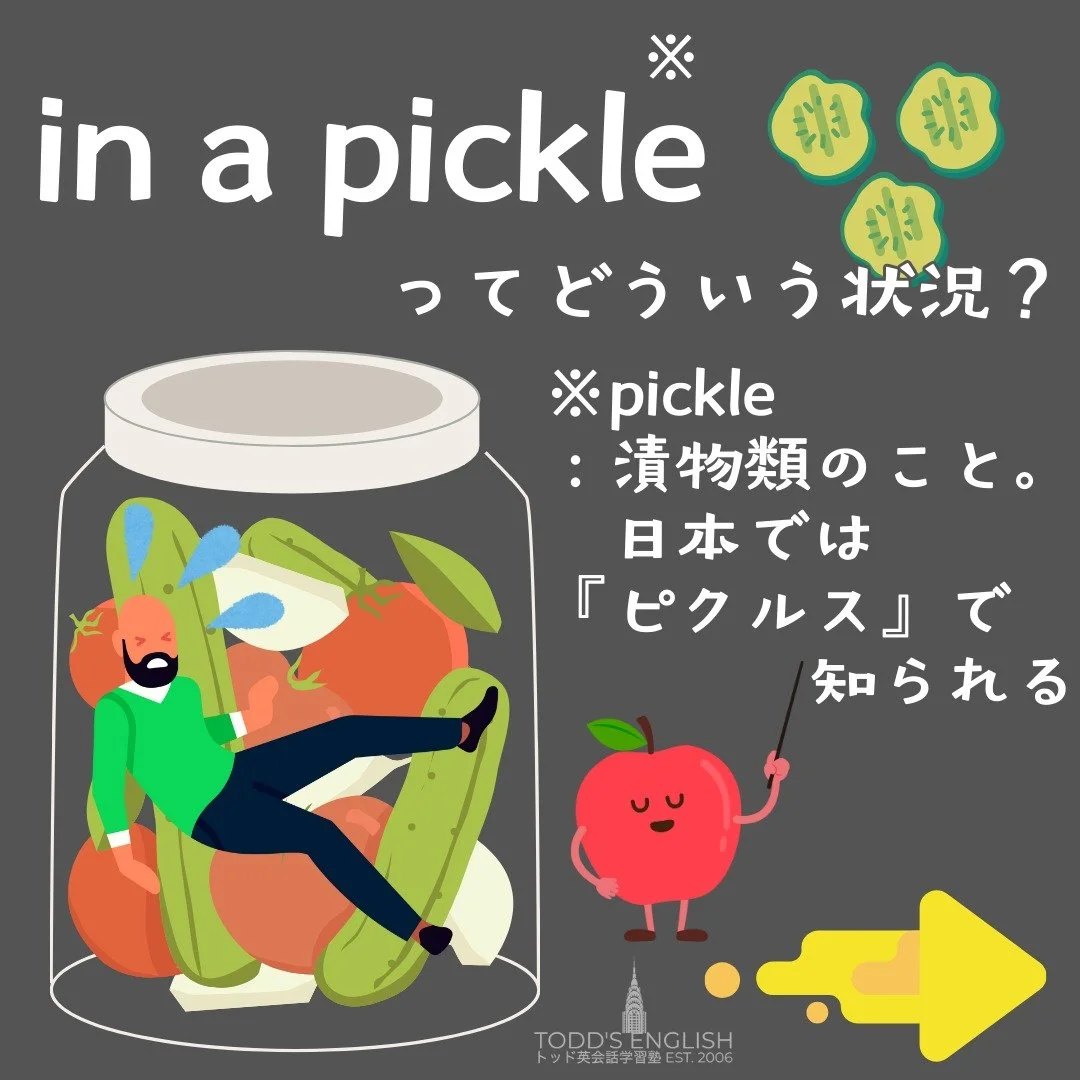 #トッド #英会話 #学習塾 #受験 #英検 #旭市 #千葉県 #飯岡駅 #japan #learnenglish #studyenglish #英語フレーズ #英語勉強中 #毎日英語 #使える英語 #今日の英語
