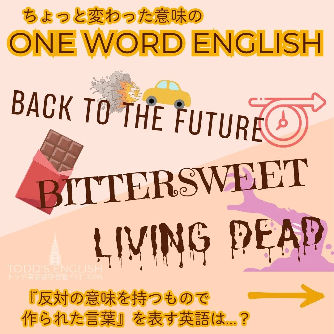 #トッド #英会話 #学習塾 #受験 #英検 #旭市 #千葉県 #飯岡駅 #japan #learnenglish #studyenglish #英語フレーズ #英語勉強中 #毎日英語 #使える英語 #今日の英語