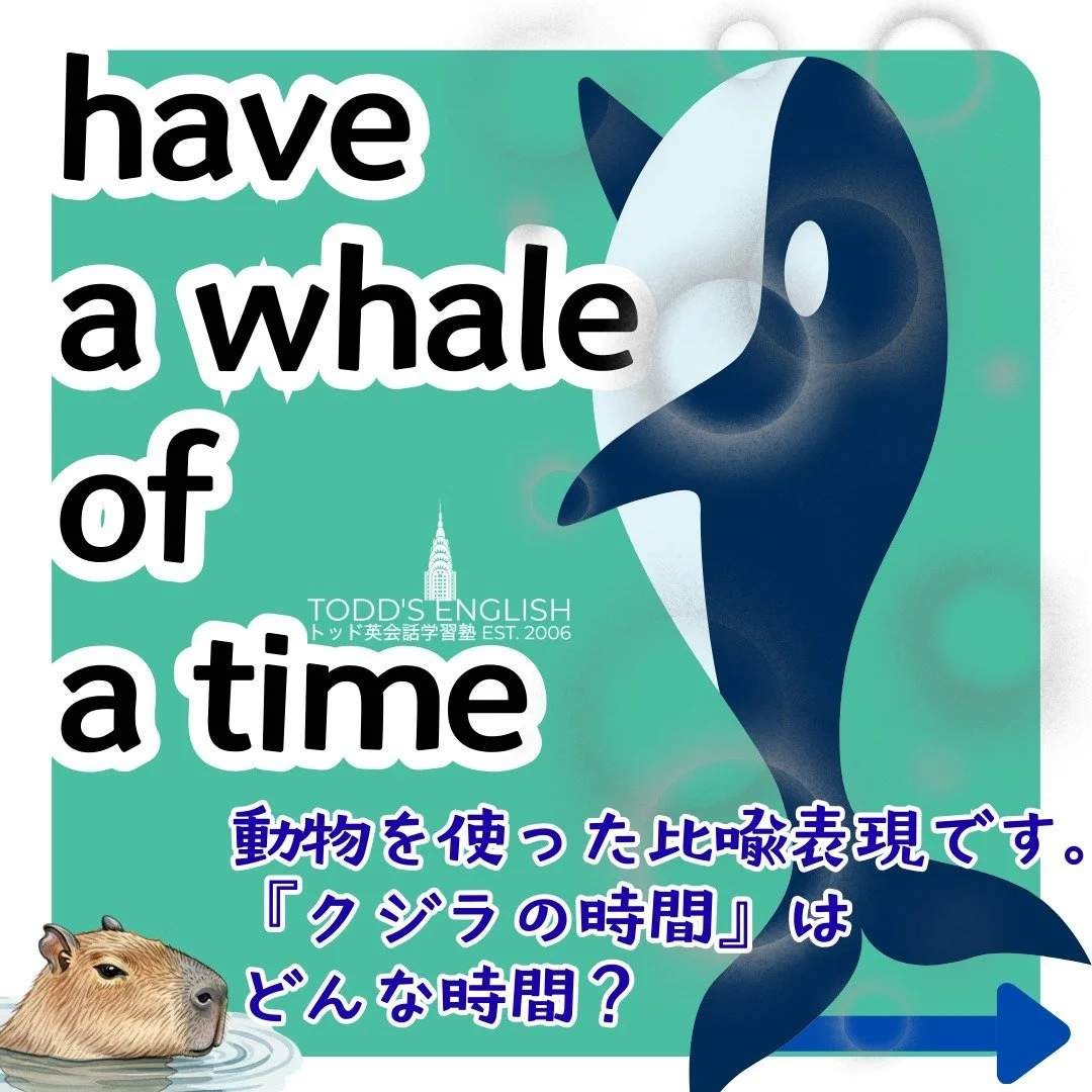 今年の春は楽しく過ごしましょうね！#トッド #英会話 #学習塾 #受験 #英検 #旭市 #千葉県 #飯岡駅 #japan #learnenglish #studyenglish #英語フレーズ #英語勉強中 #毎日英語 #使える英語 #今日の英語 #英会話教室
