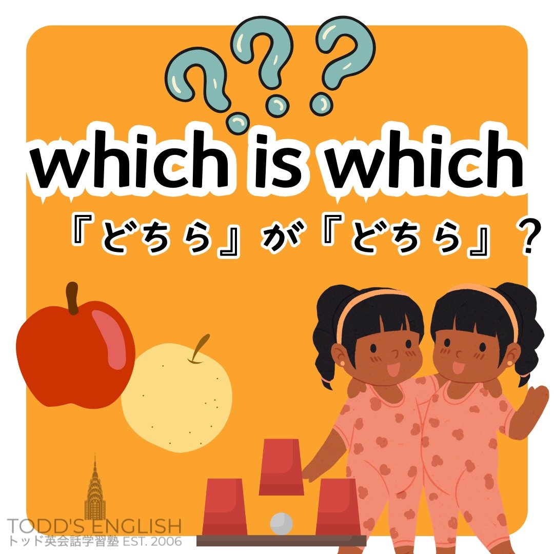 双子とか、たまに動物も、見分けがつかないことってあるよね #トッド #英会話 #学習塾 #受験 #英検 #旭市 #千葉県 #飯岡駅 #japan #learnenglish #studyenglish #英語フレーズ #英語勉強中 #毎日英語 #使える英語 #今日の英語 #英会話教室