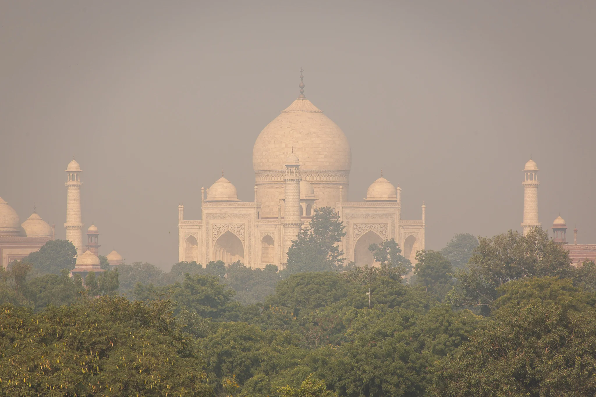 After we had visited The Taj Mahal we stopped at a nearby Hotel for breakfast, with the best view!