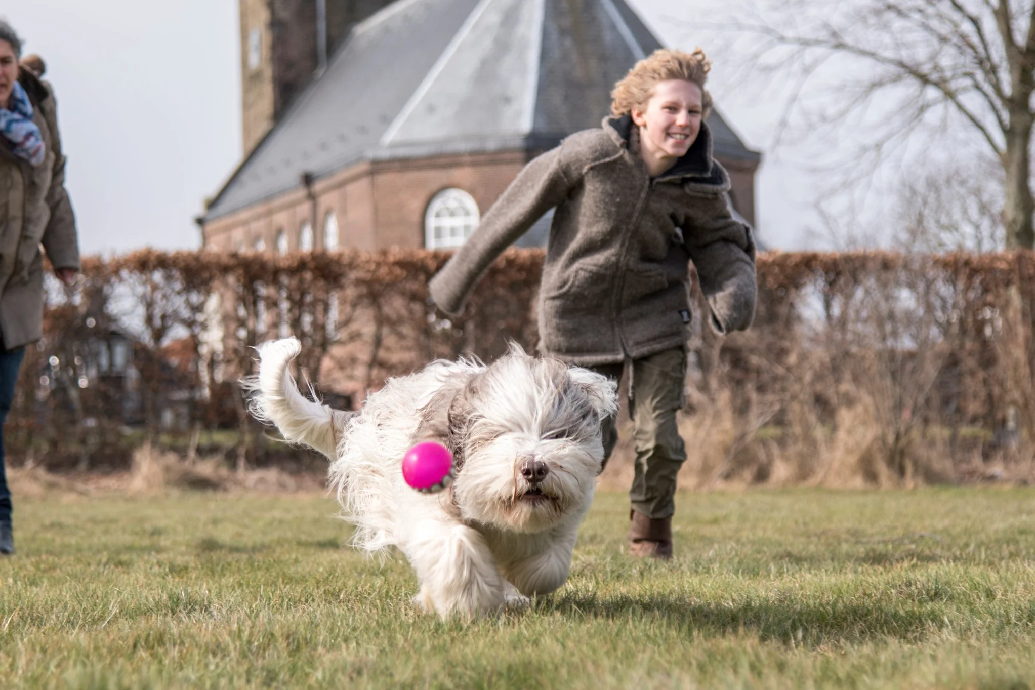 Dogswork+50.jpg