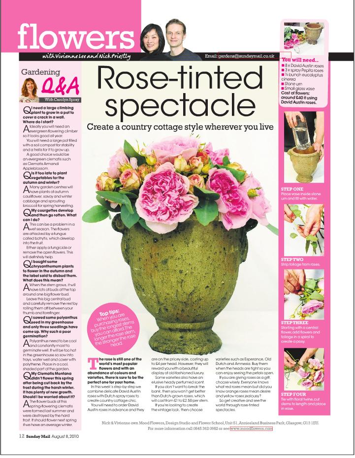 Sunday mail Rose spectacle.JPG