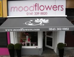 mood-flowers-2682009.jpg