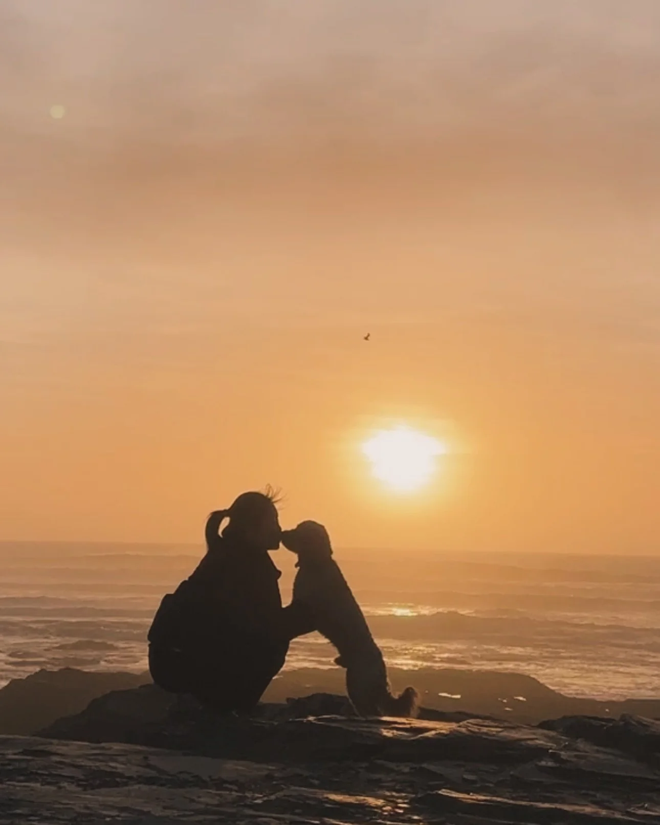 One month back home in Cheltenham 🤍 

We&rsquo;ve been soaking up these sunny days with long walks in our favourite park &mdash; blossom spotting, sunset watching from the hill, and lazy afternoons working from cosy caf&eacute;s with good WiFi. It&r