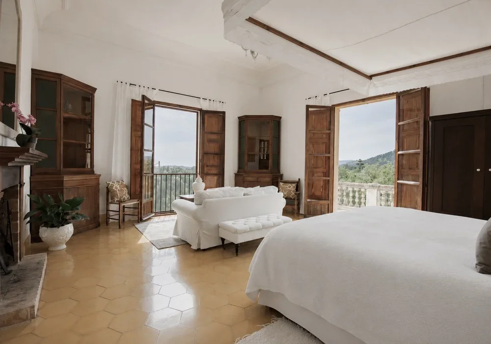 Palma.webp