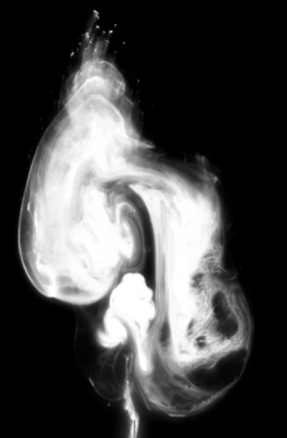 Transient Form 3/3 Tryptich