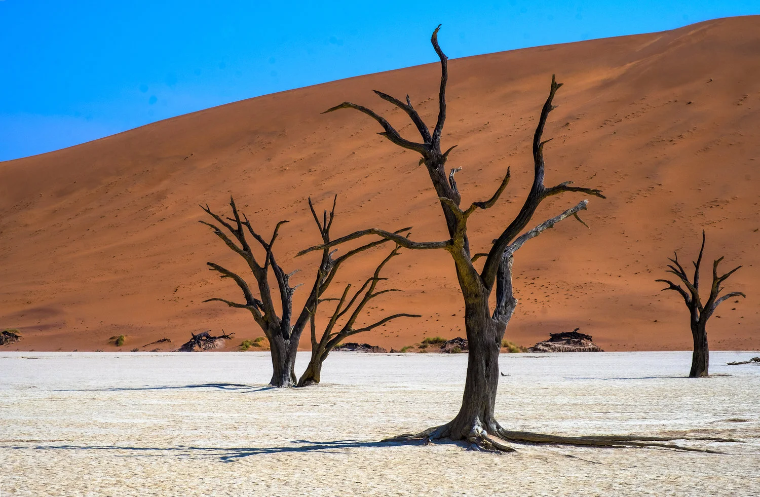 Salt Pan